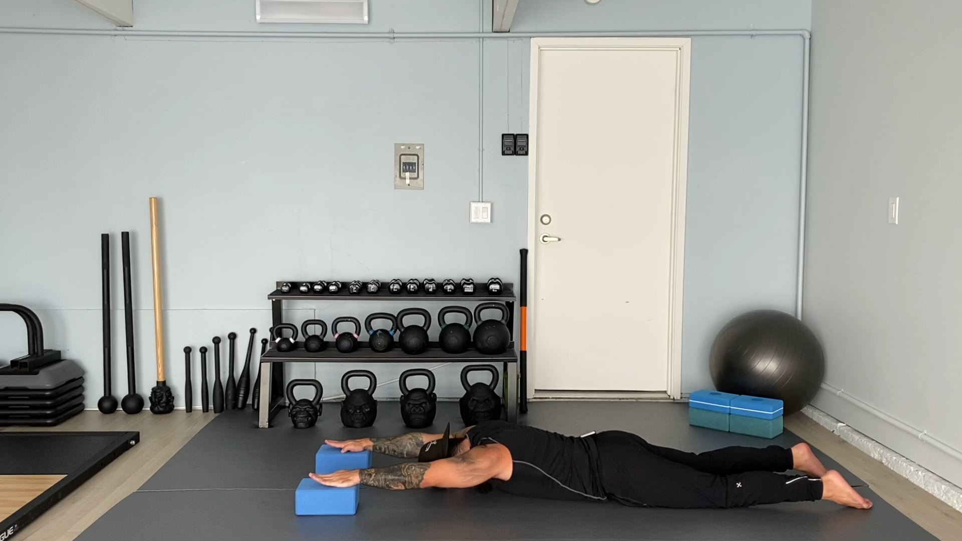 Short Class 12: Shoulder Flexion & Extension
