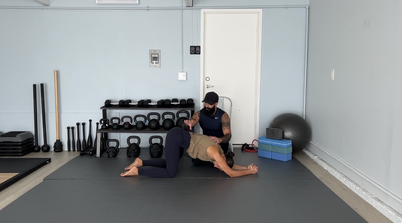 Short Class 79: Spinal Segmentation Variations