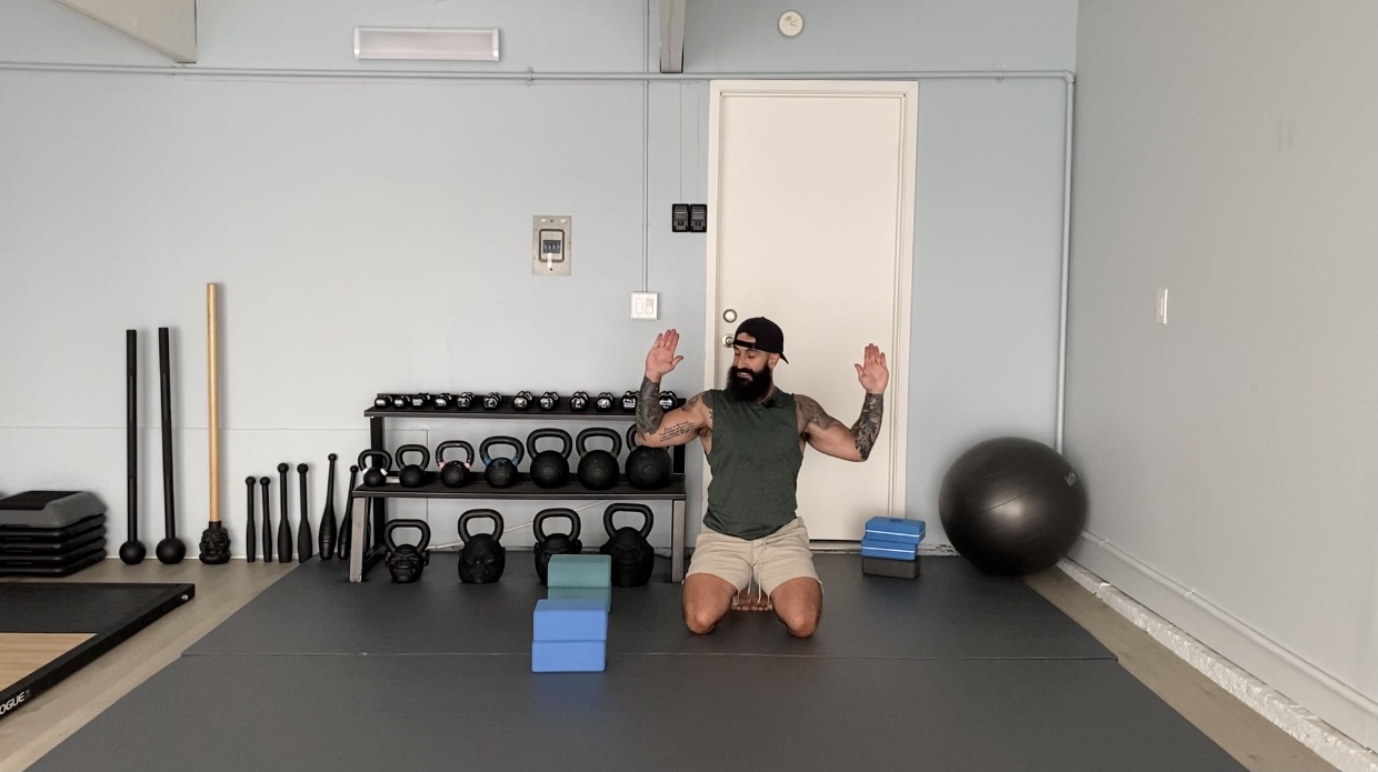 Short Class: 48 Full Body Circuit - Hips/Shoulder/Scap/Spine