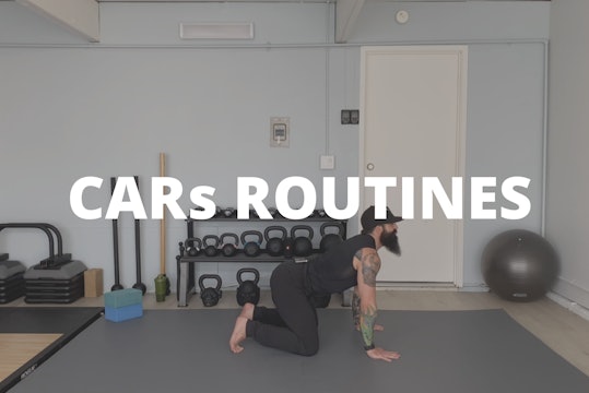 CARs Routines