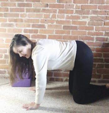 Class 8: Wrist Extension, Elbow Flex/...