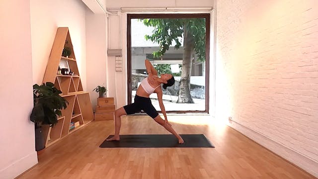 Gratitude Flow I Janith