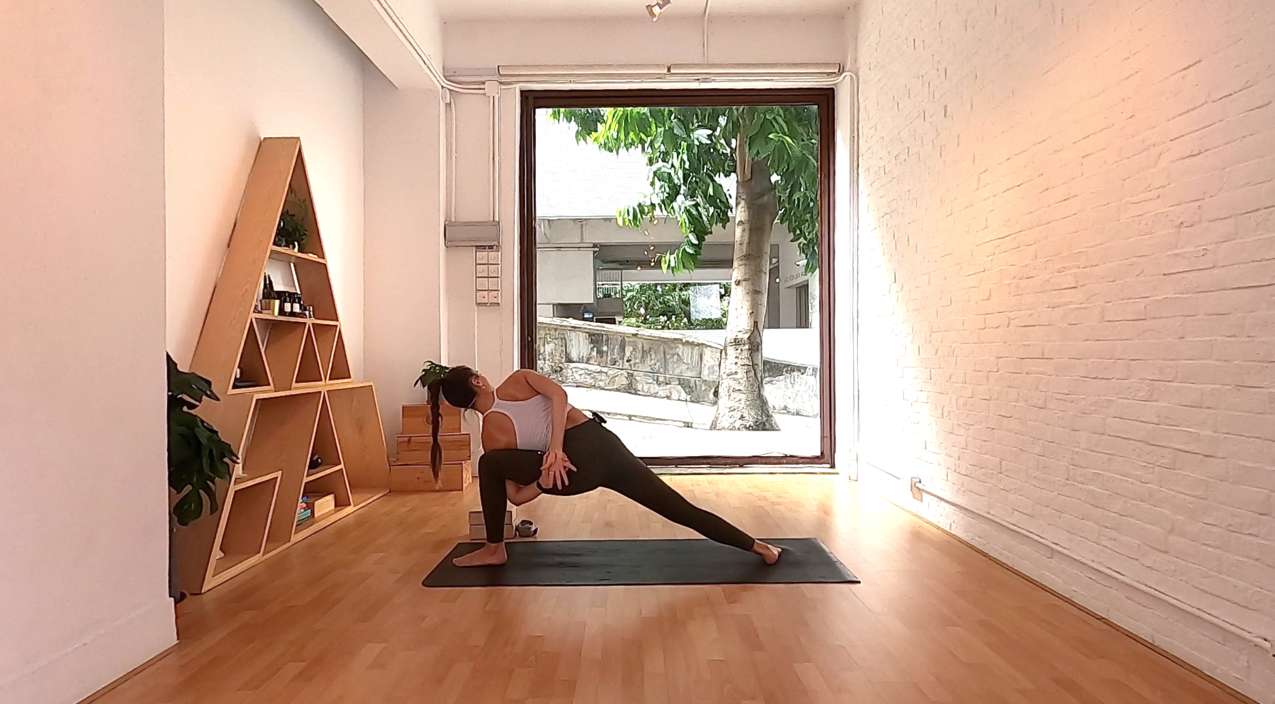 Bird of Paradise I Tara