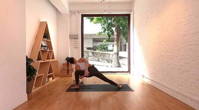 Bird of Paradise I Tara