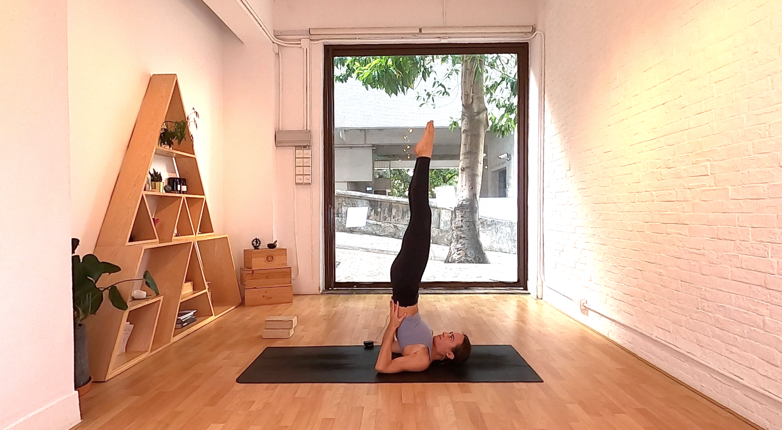 Spine Mobility I Tara