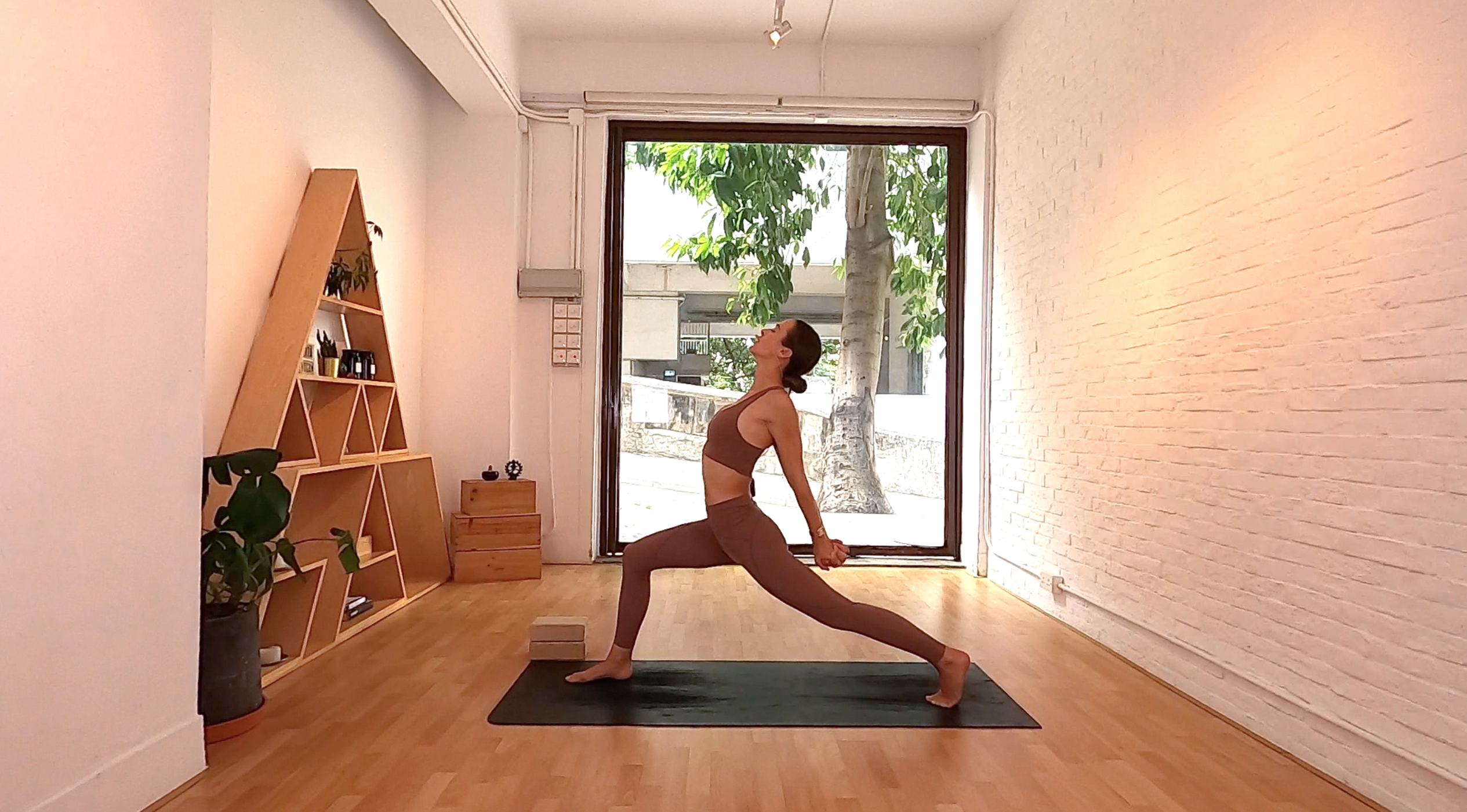 Shoulder Stability & Mobility I Tara