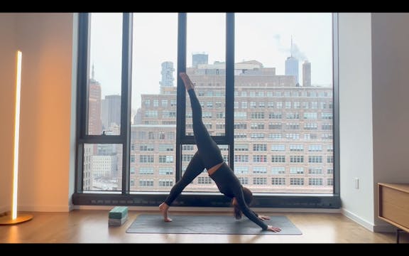 Dynamic Flow | Nikita 