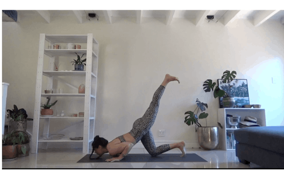 Core Flow | Roxanne