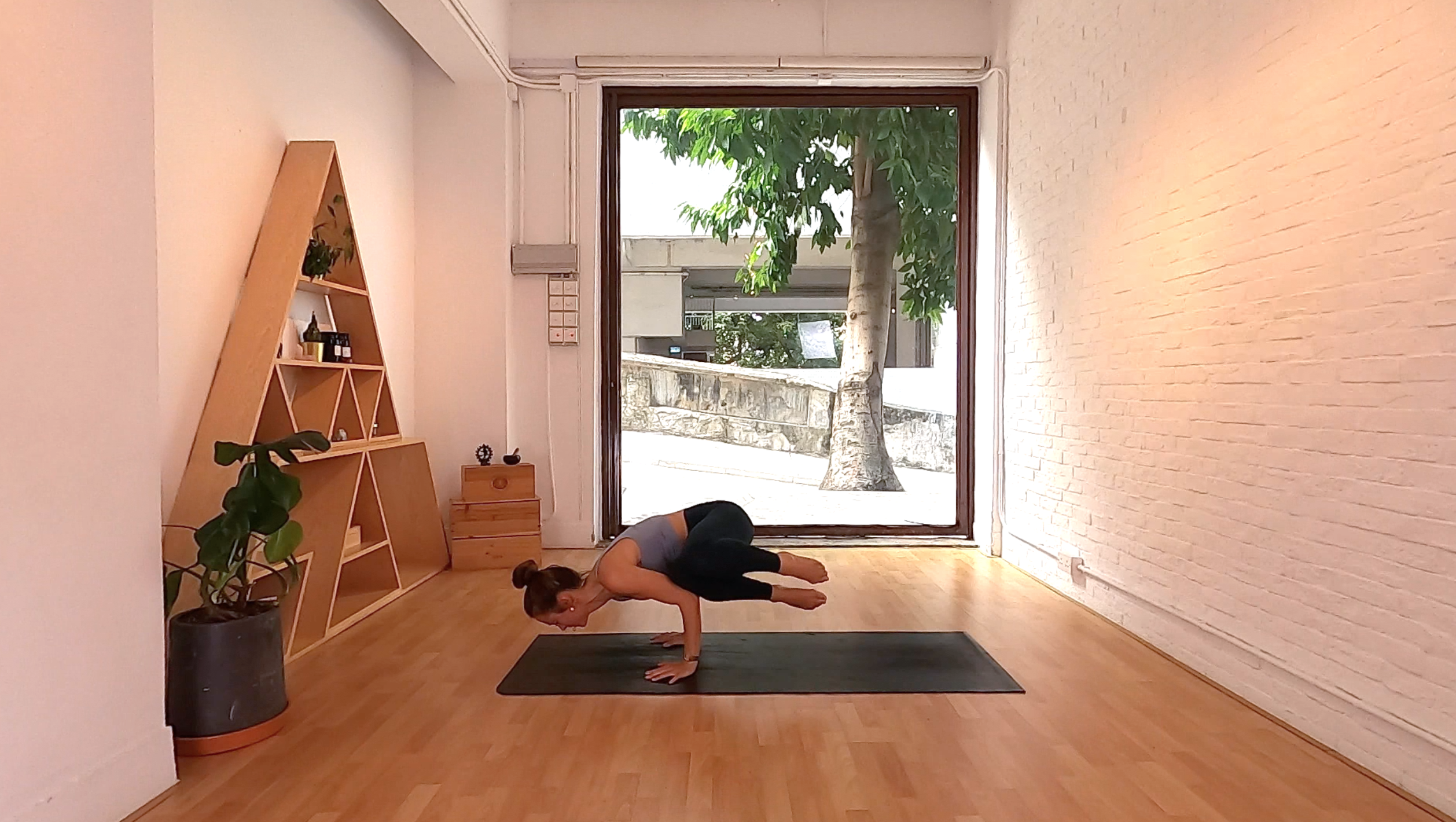 Parsva Bakasana (Side Crow) I Tara