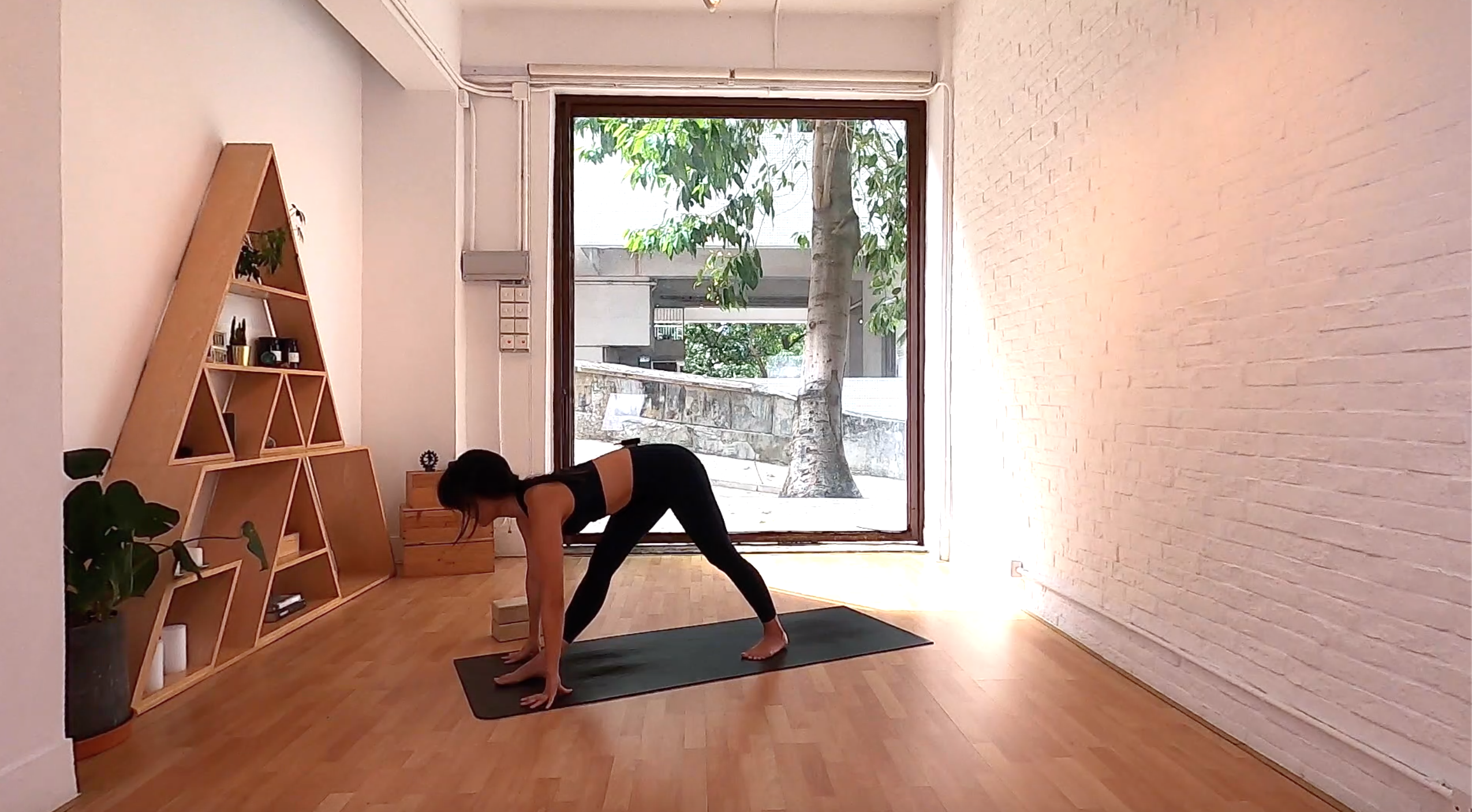 Spring Flow I Janith