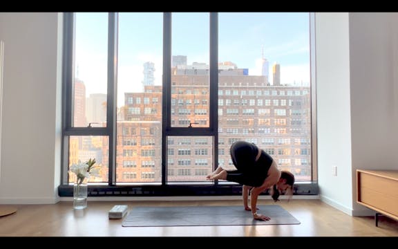 Quick Power | Nikita