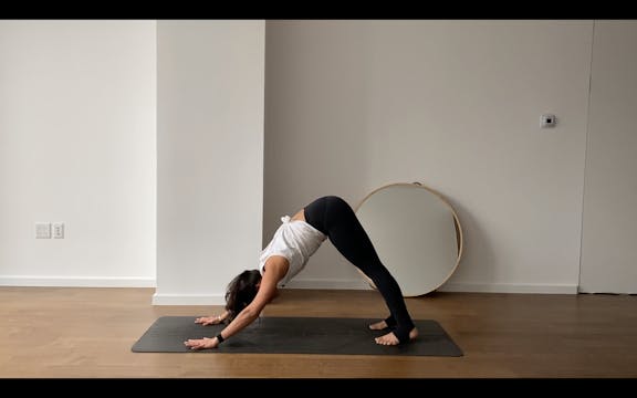 Dynamic Vinyasa | Nikita 