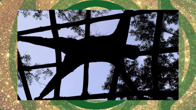 AT THE CUTTING EDGE - a short film by...