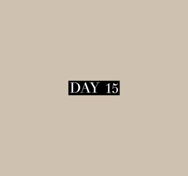 5 FOR 23 :: class 15