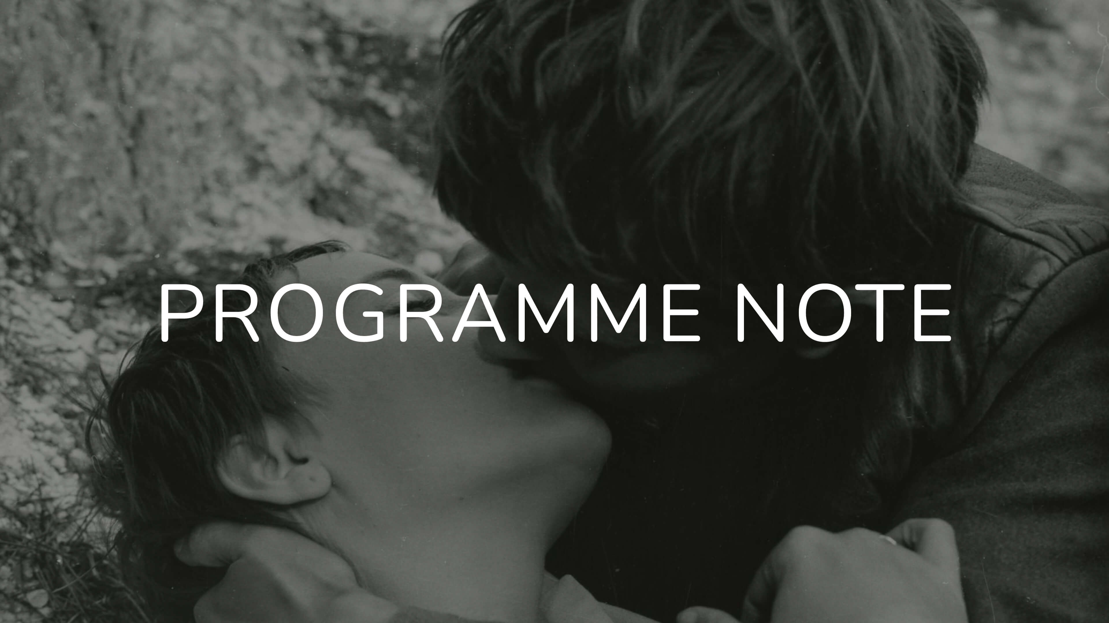 Notes on My Way Home