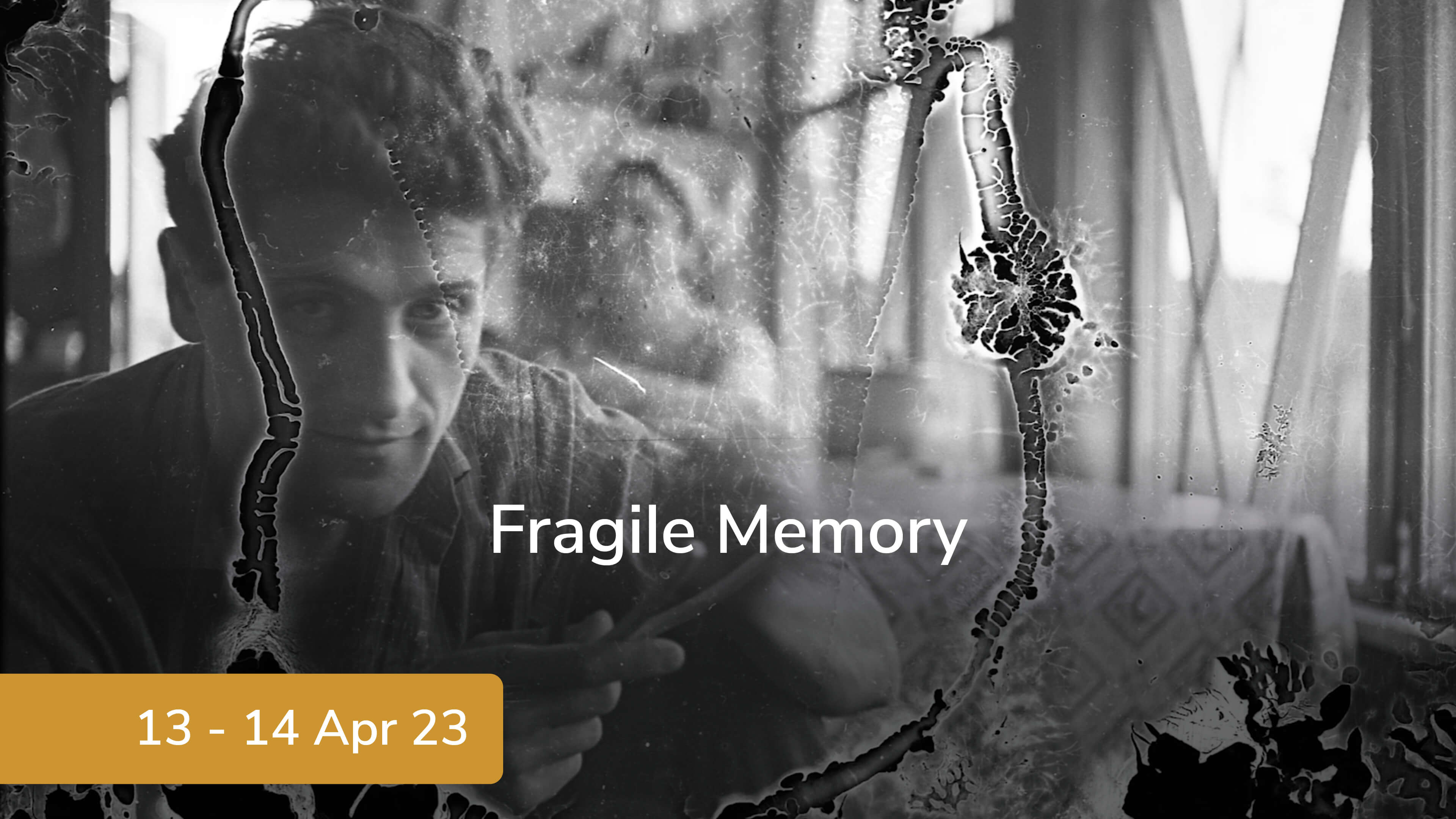 Fragile Memory