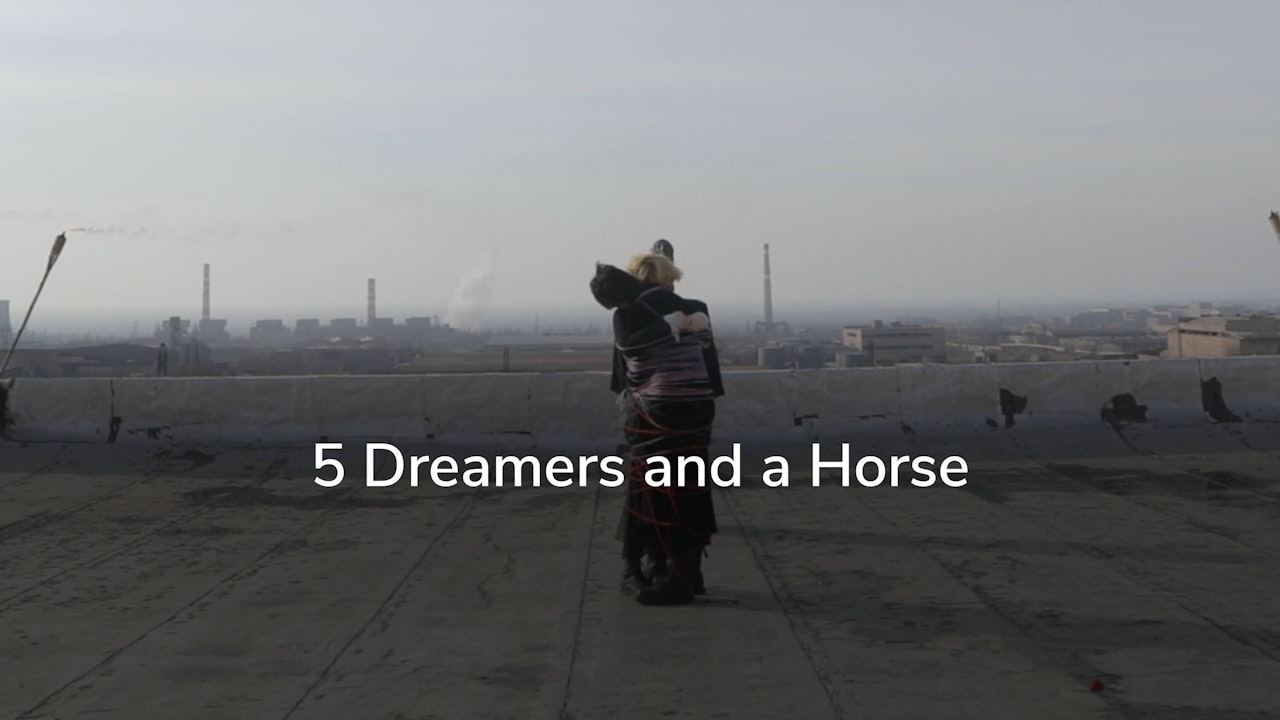 5 Dreamers and a Horse