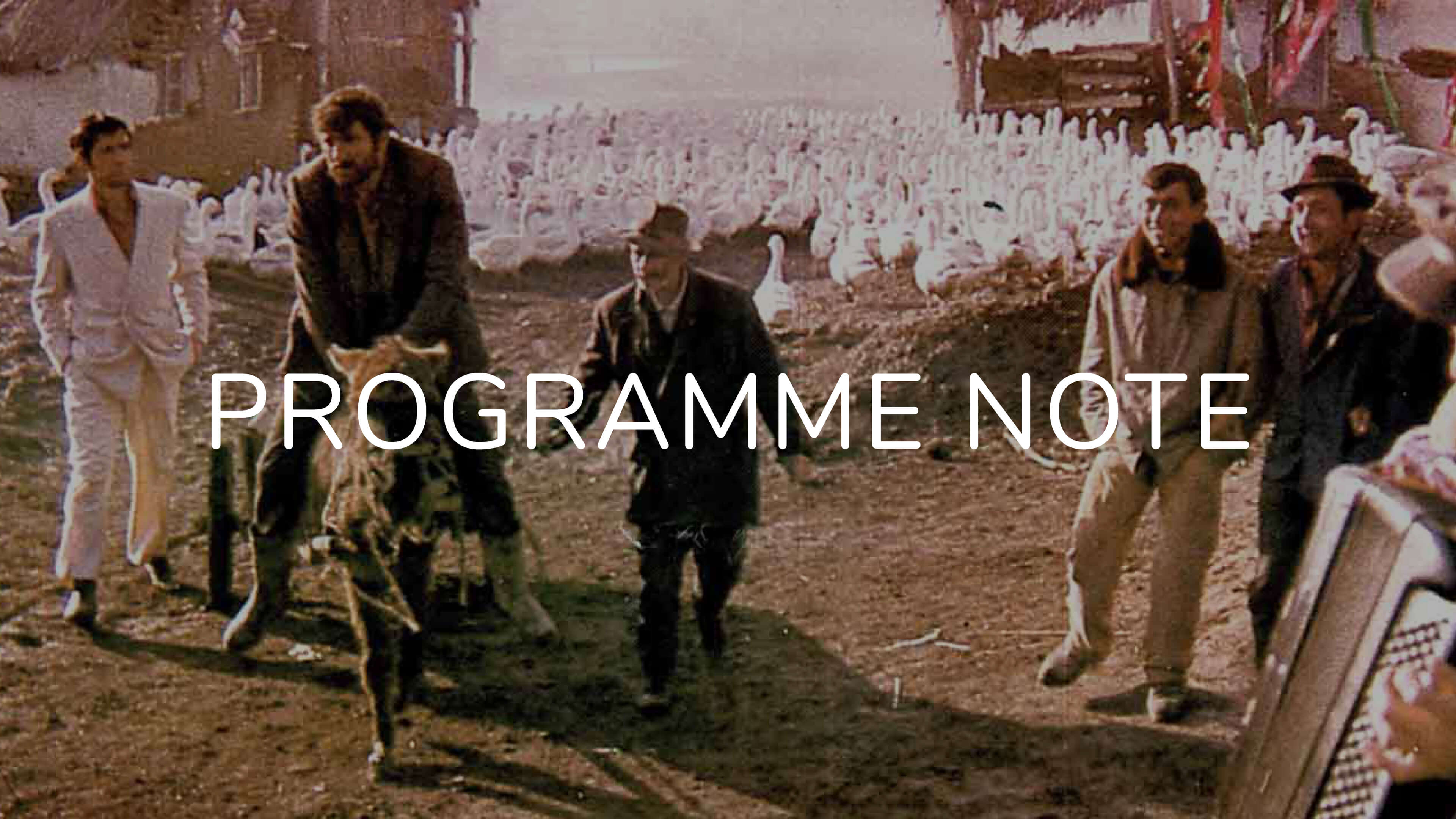 Notes on I Even Met Happy Gypsies