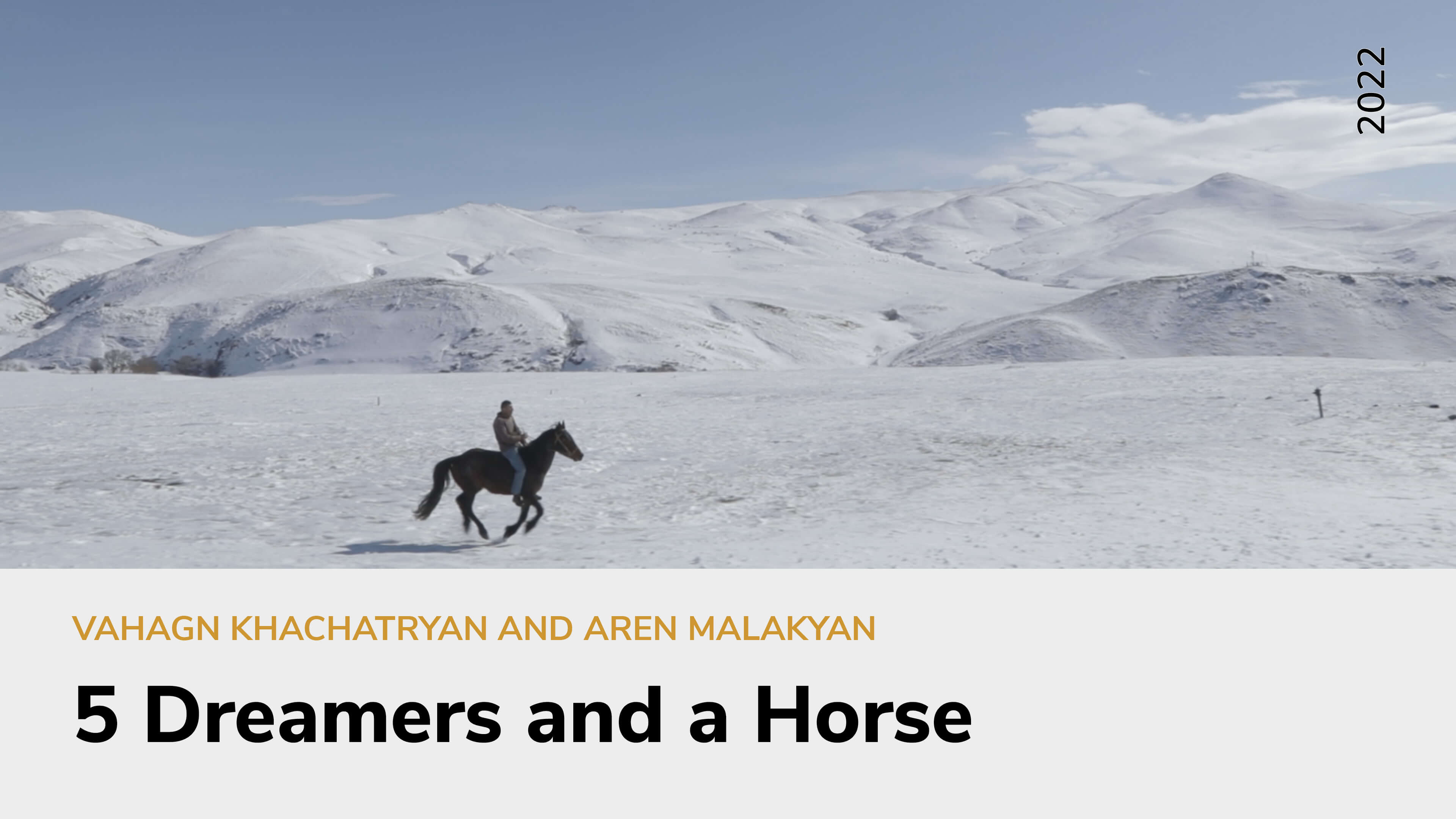 5 Dreamers and a Horse