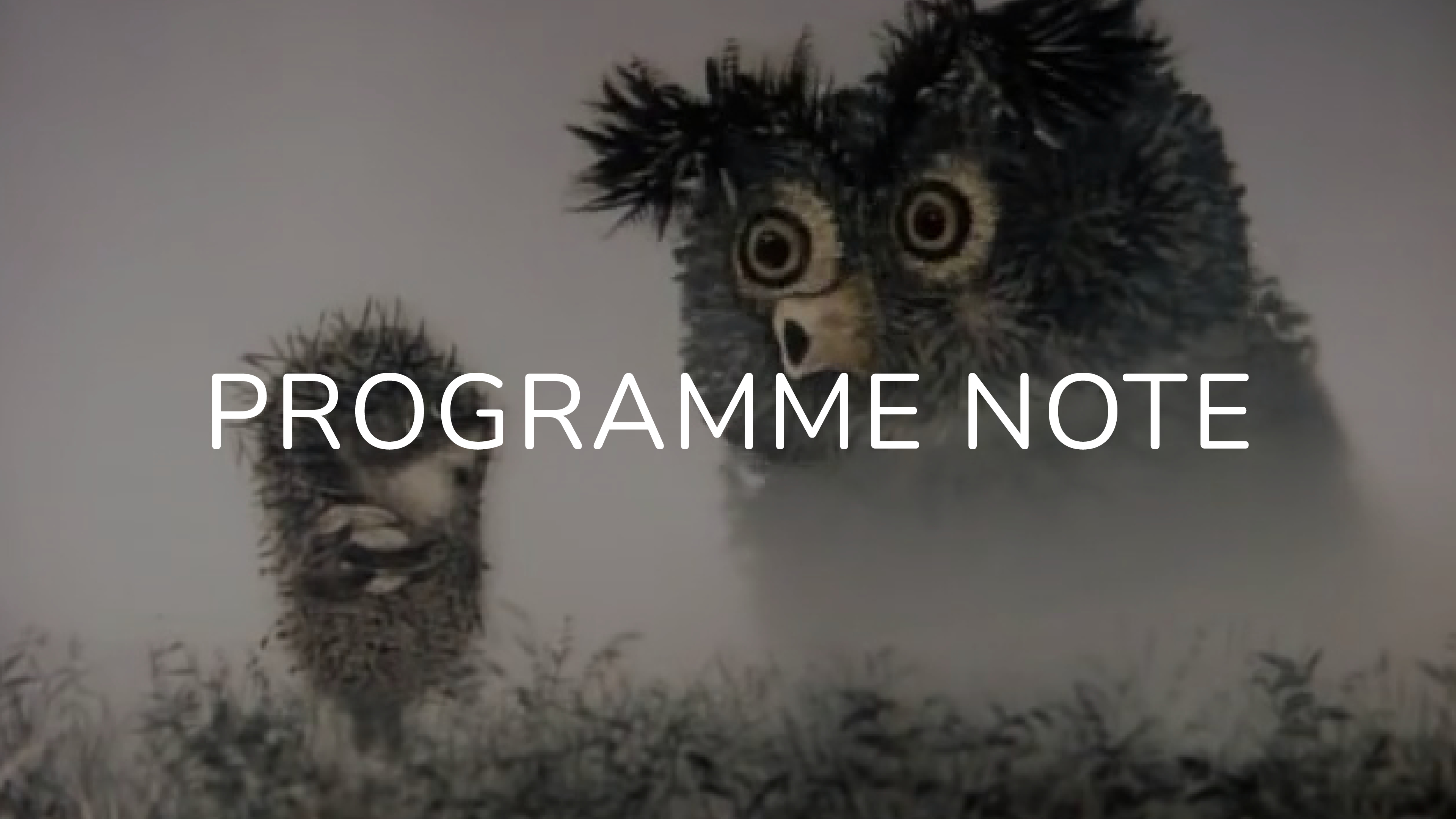 Notes on Hedgehog in the Fog