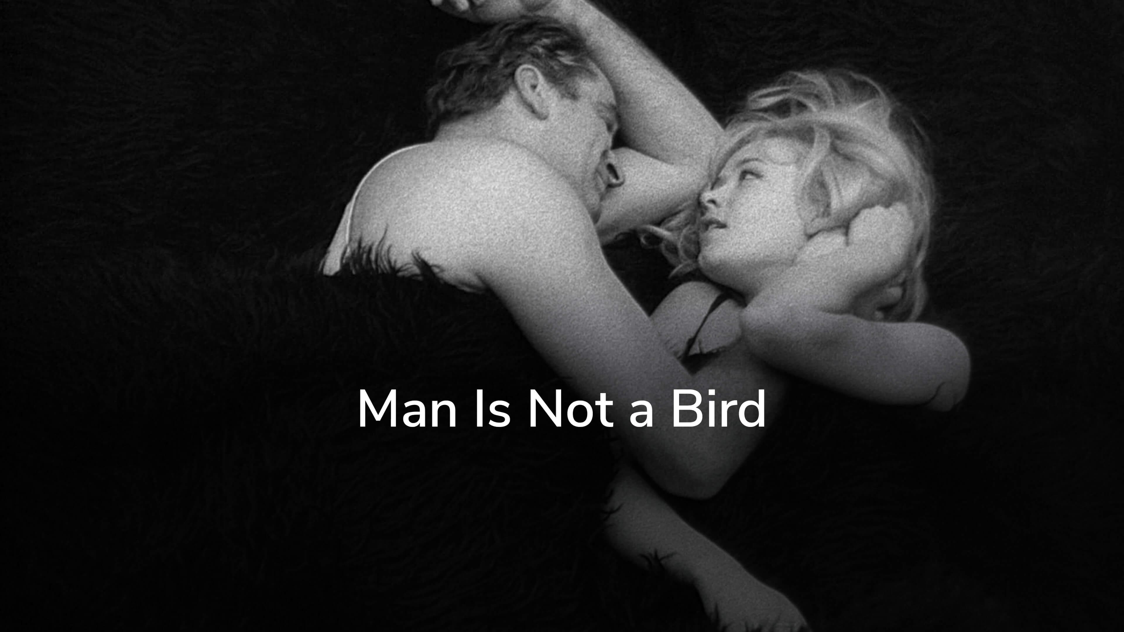 Man Is Not a Bird