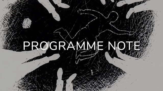 Notes on Mind the Steps!