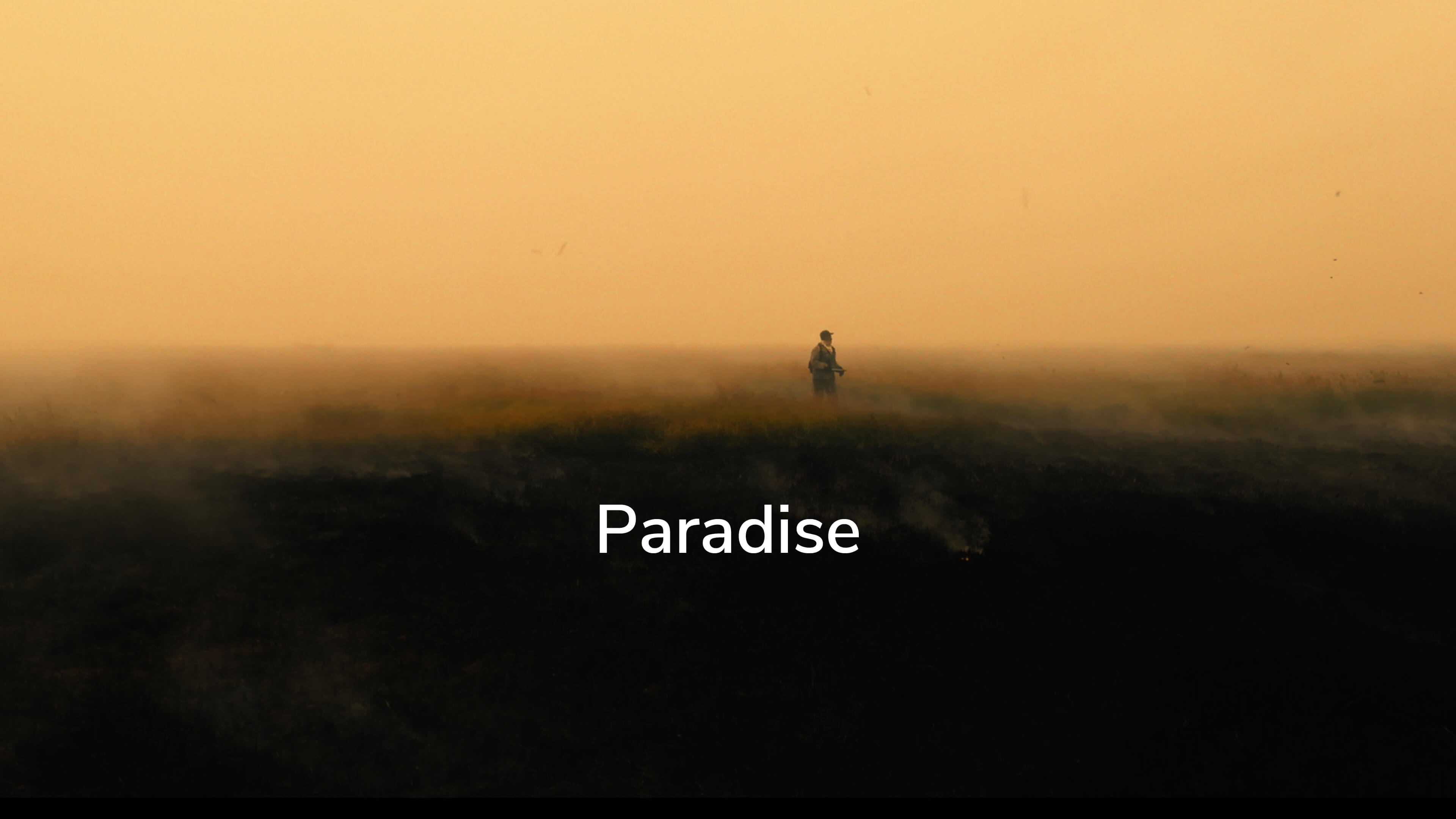 Paradise