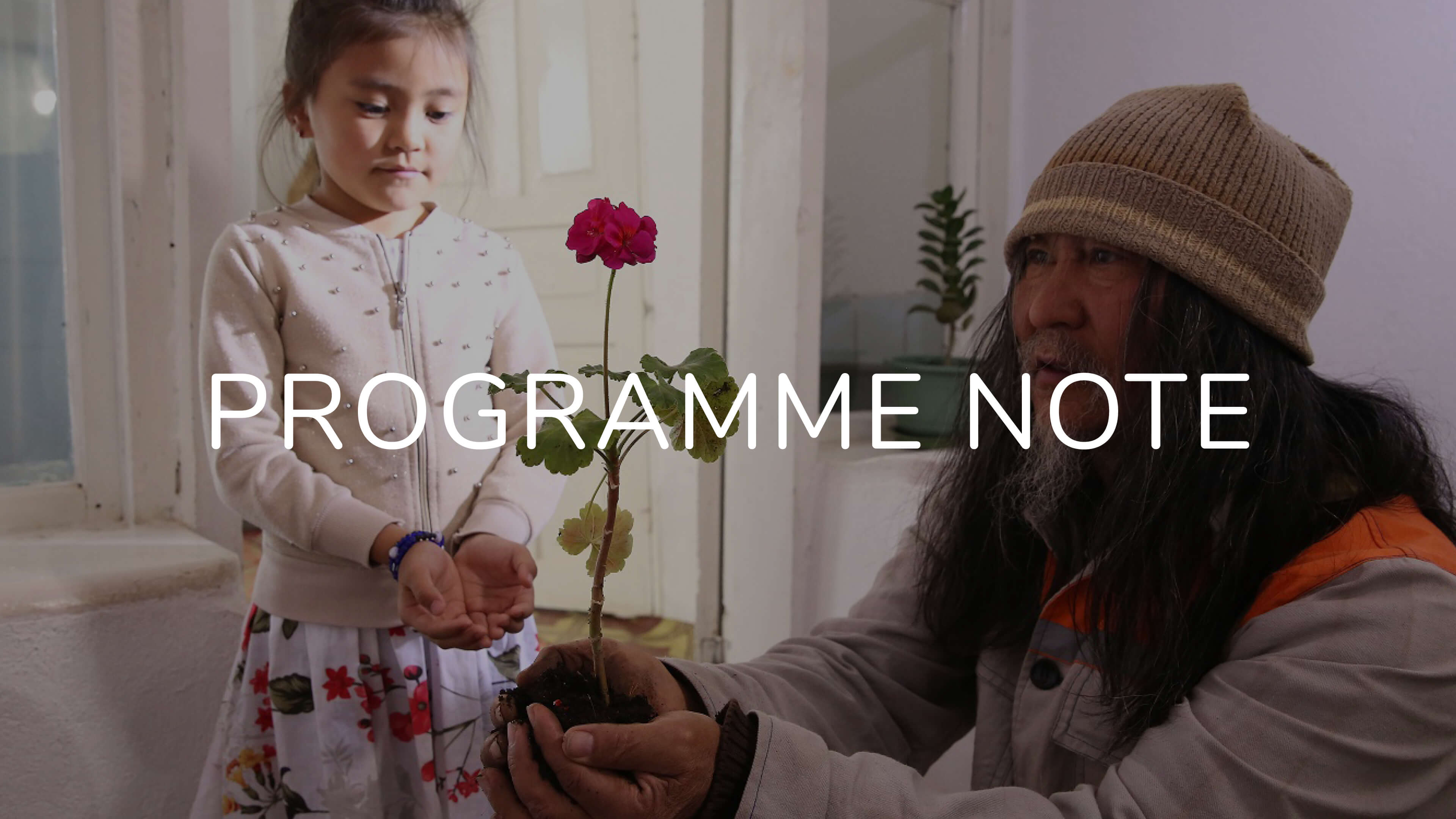 Notes on This Is What I Remember