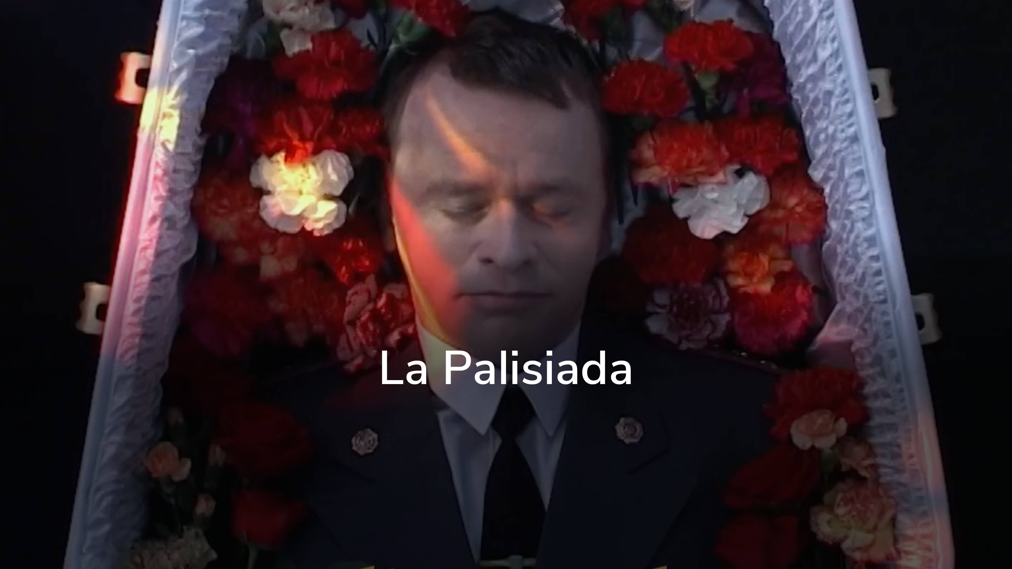 La Palisiada