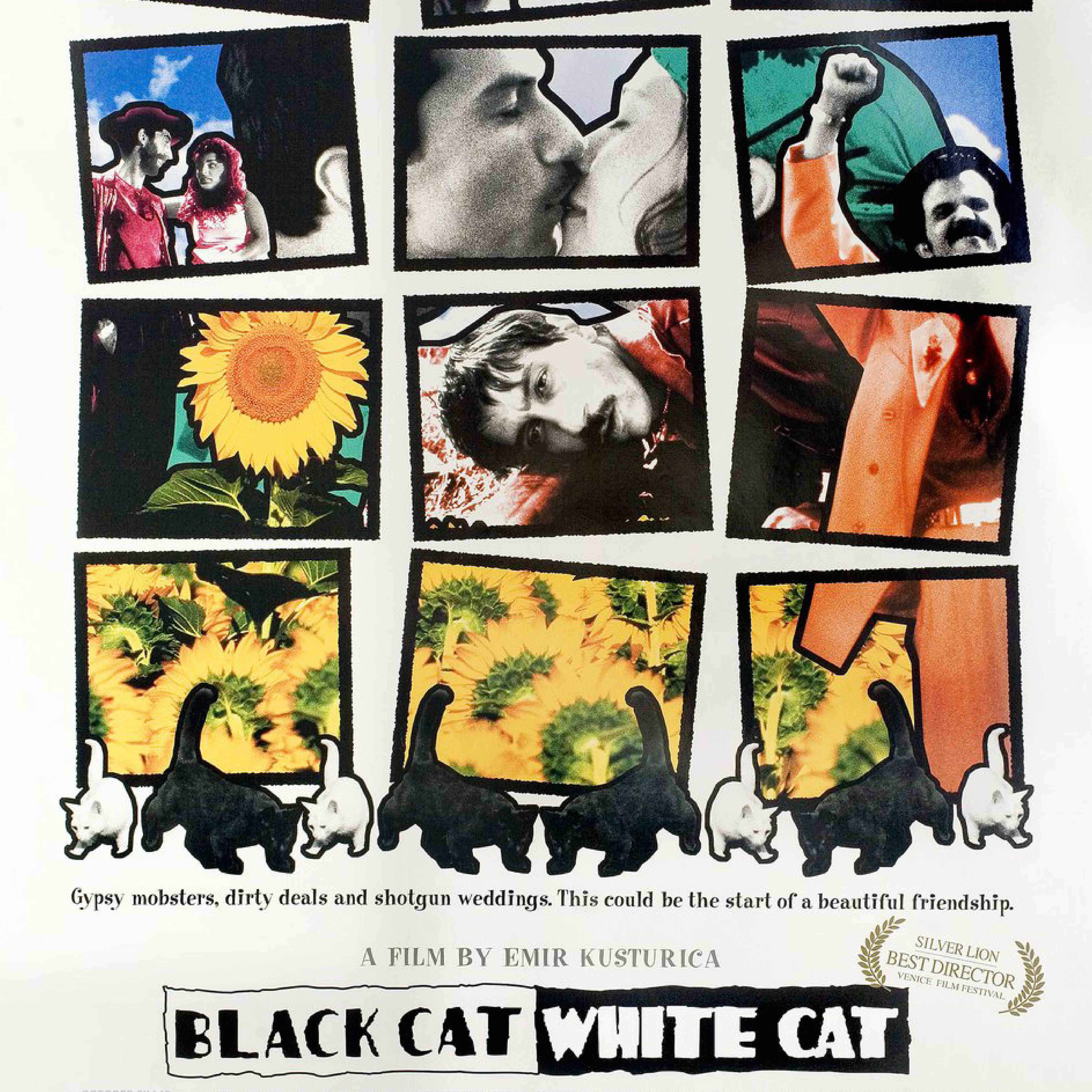 Black Cat, White Cat