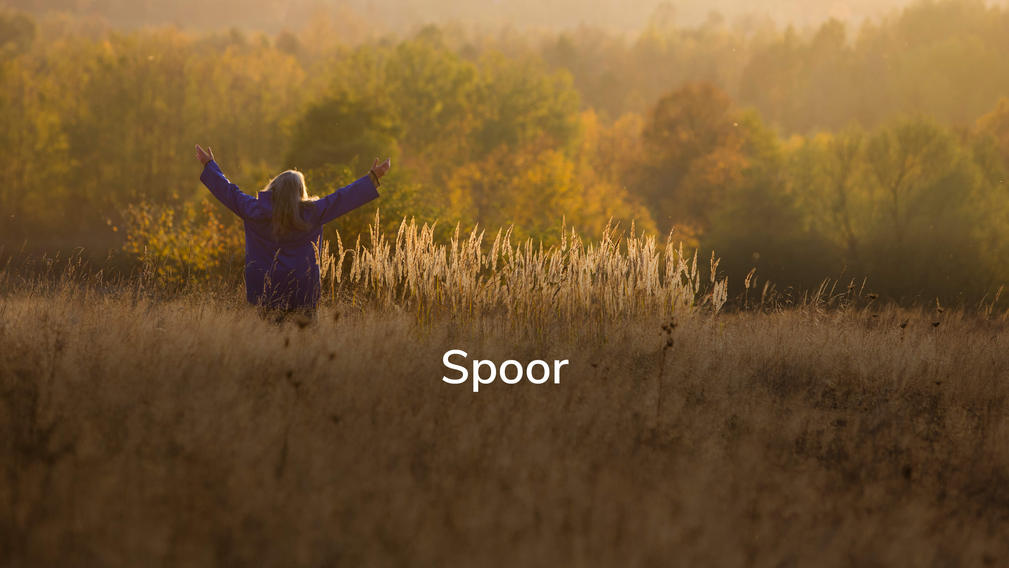 Spoor