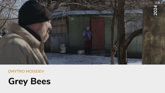 Grey Bees