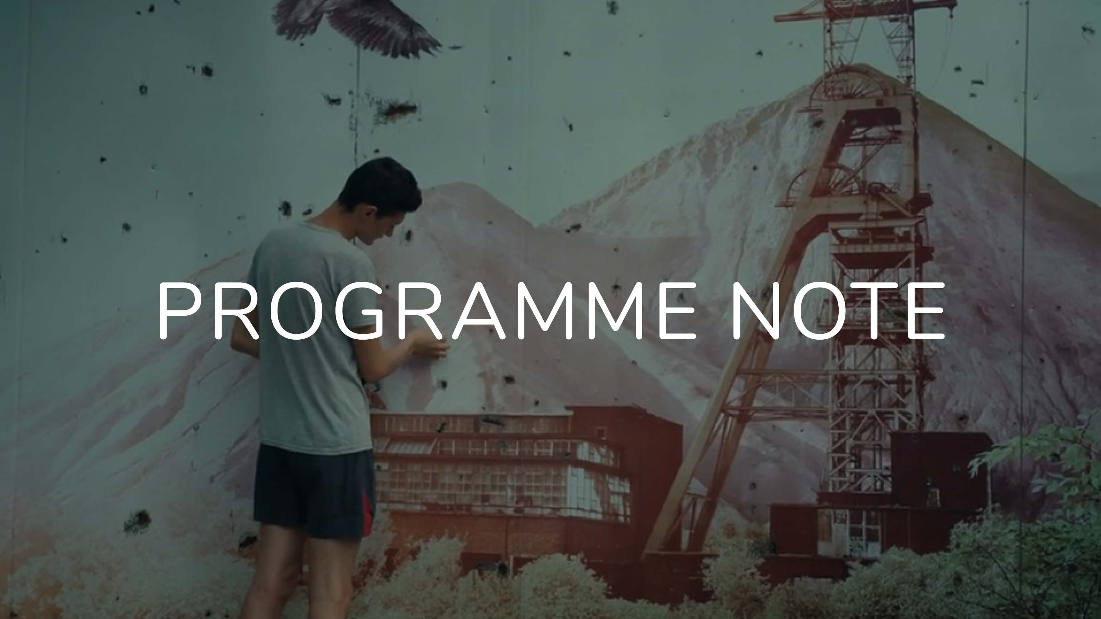 Notes on We Will Not Fade Away