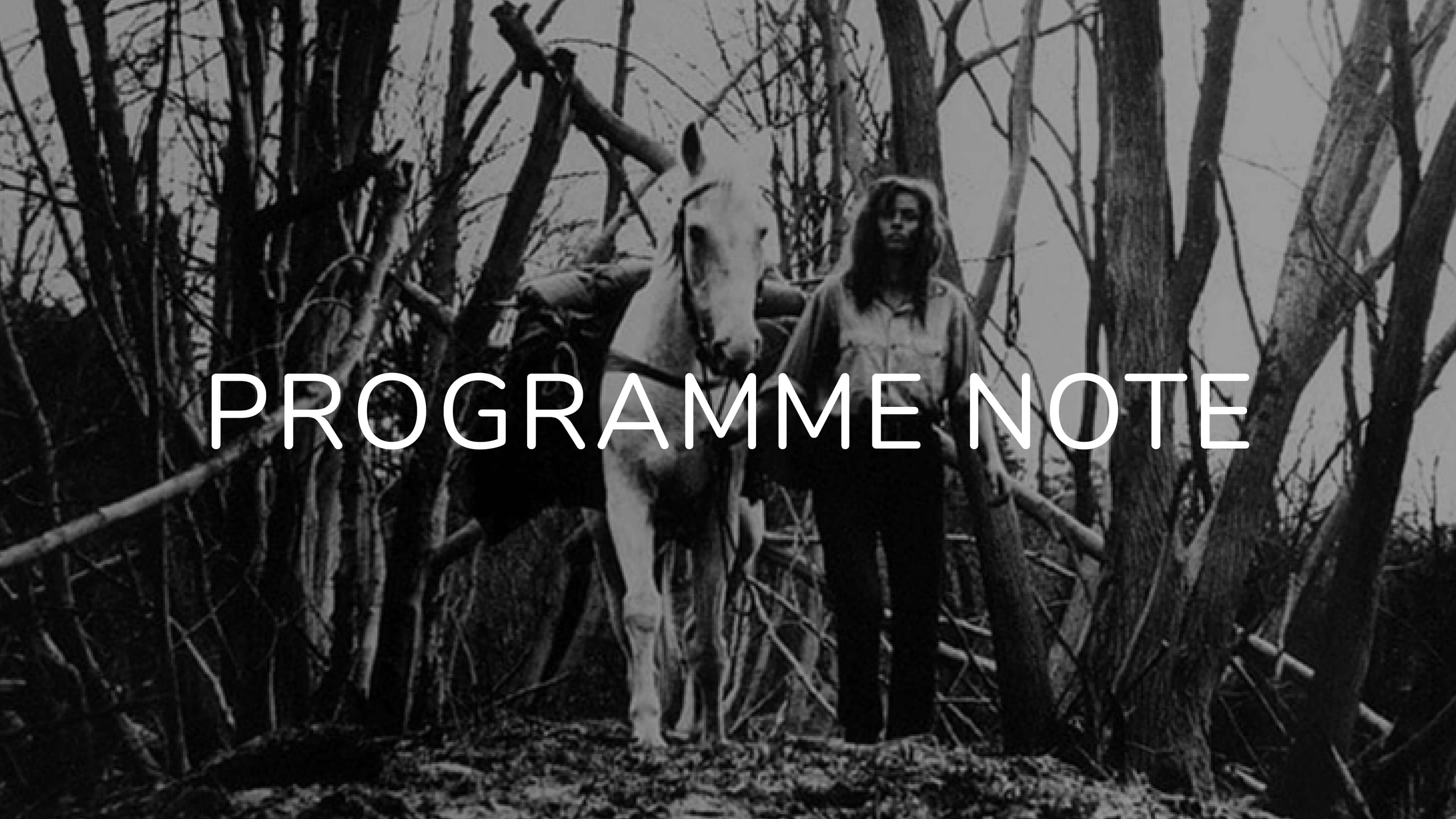 Notes on Late August at the Hotel Ozone