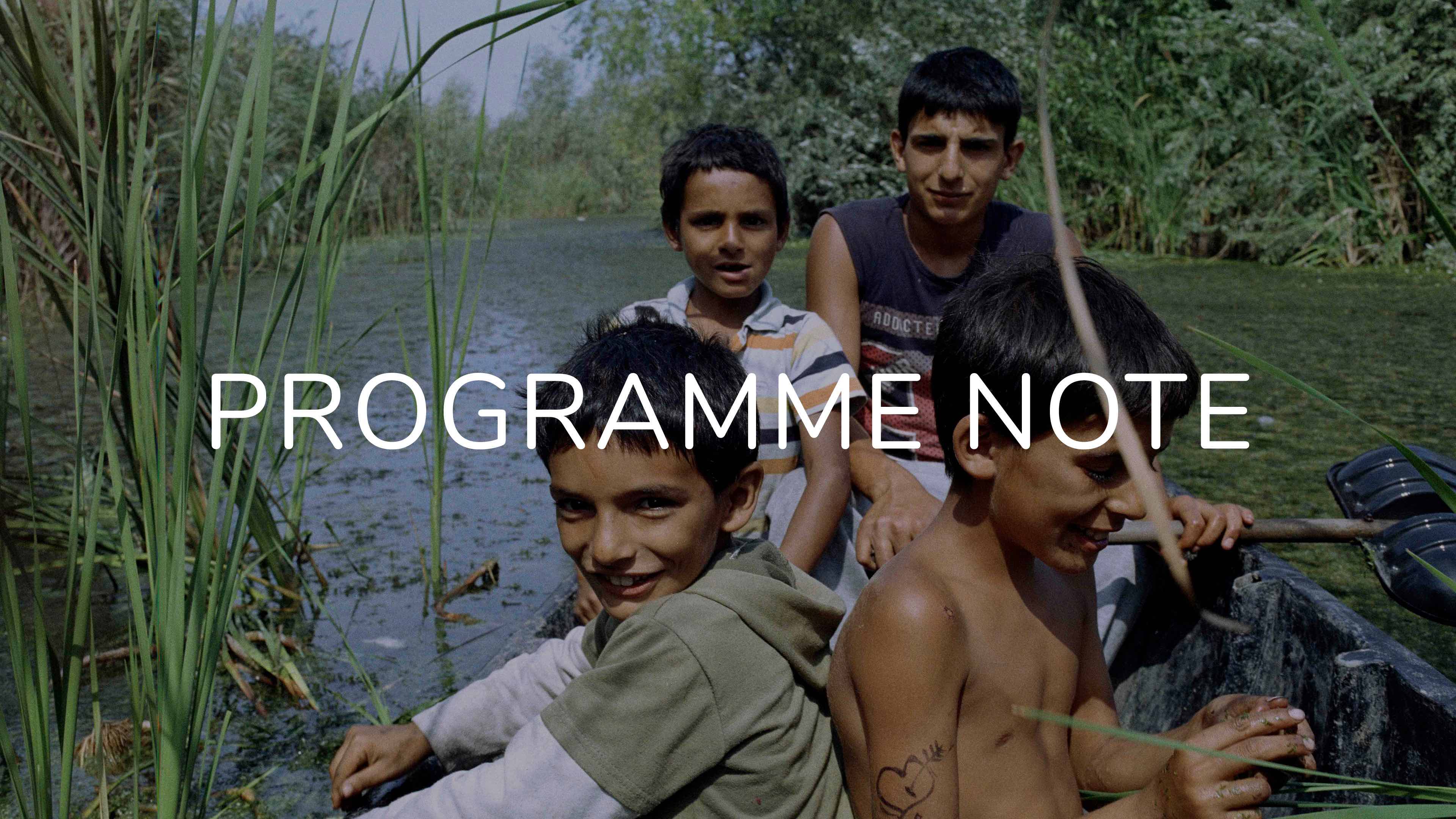 Notes on Acasă, My Home