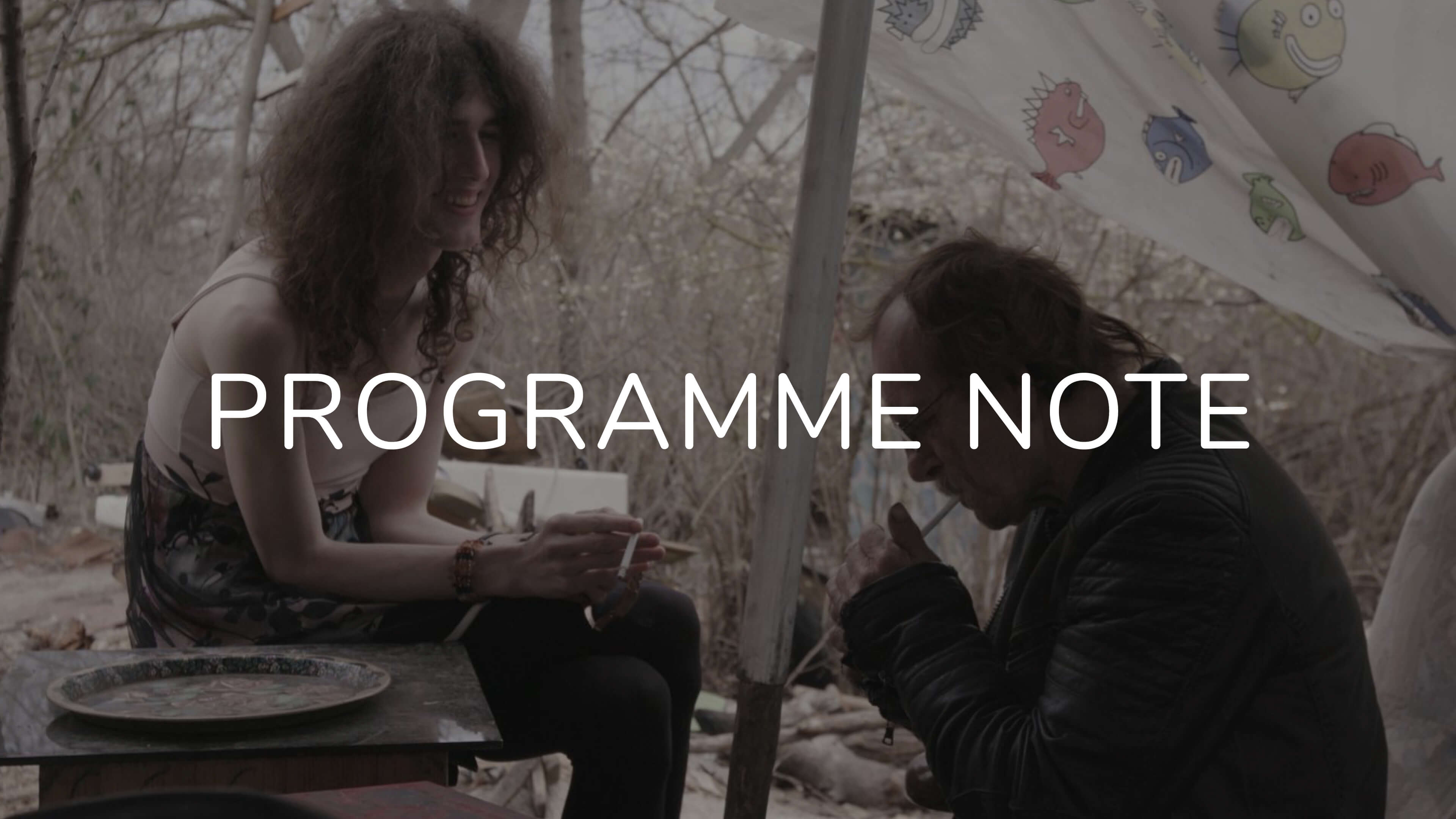 Notes on Fairy Garden