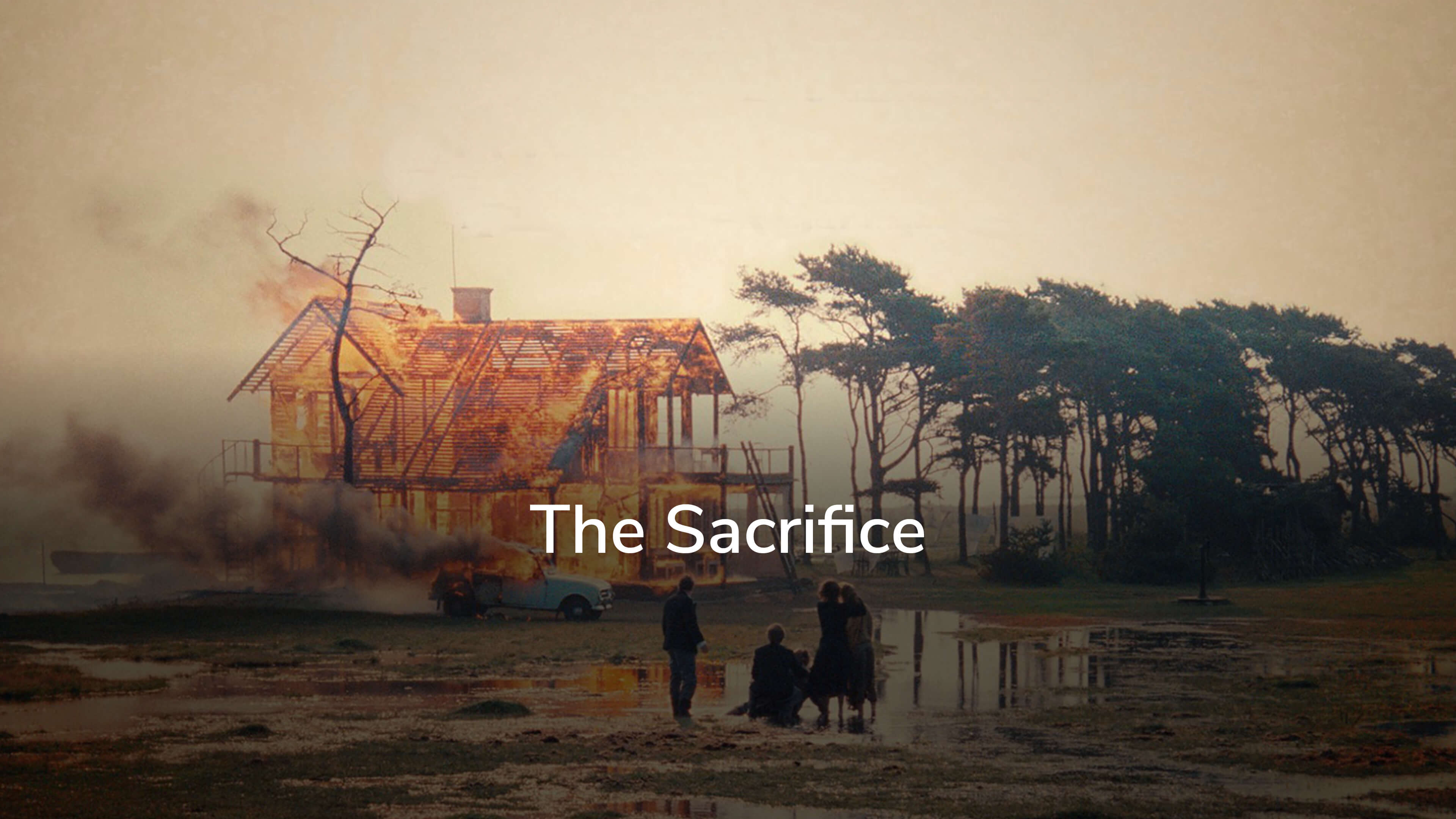 The Sacrifice