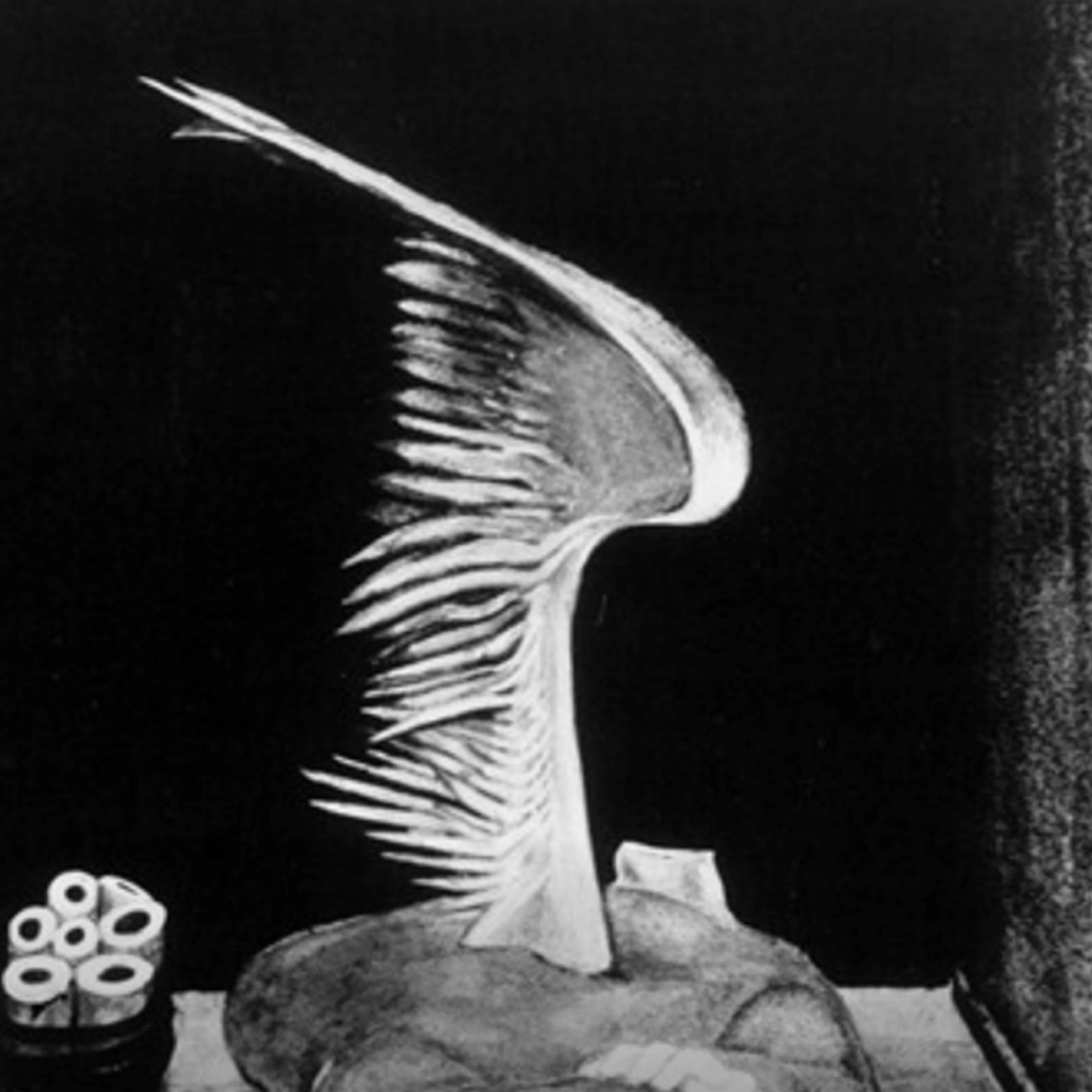 Walerian Borowczyk: three shorts