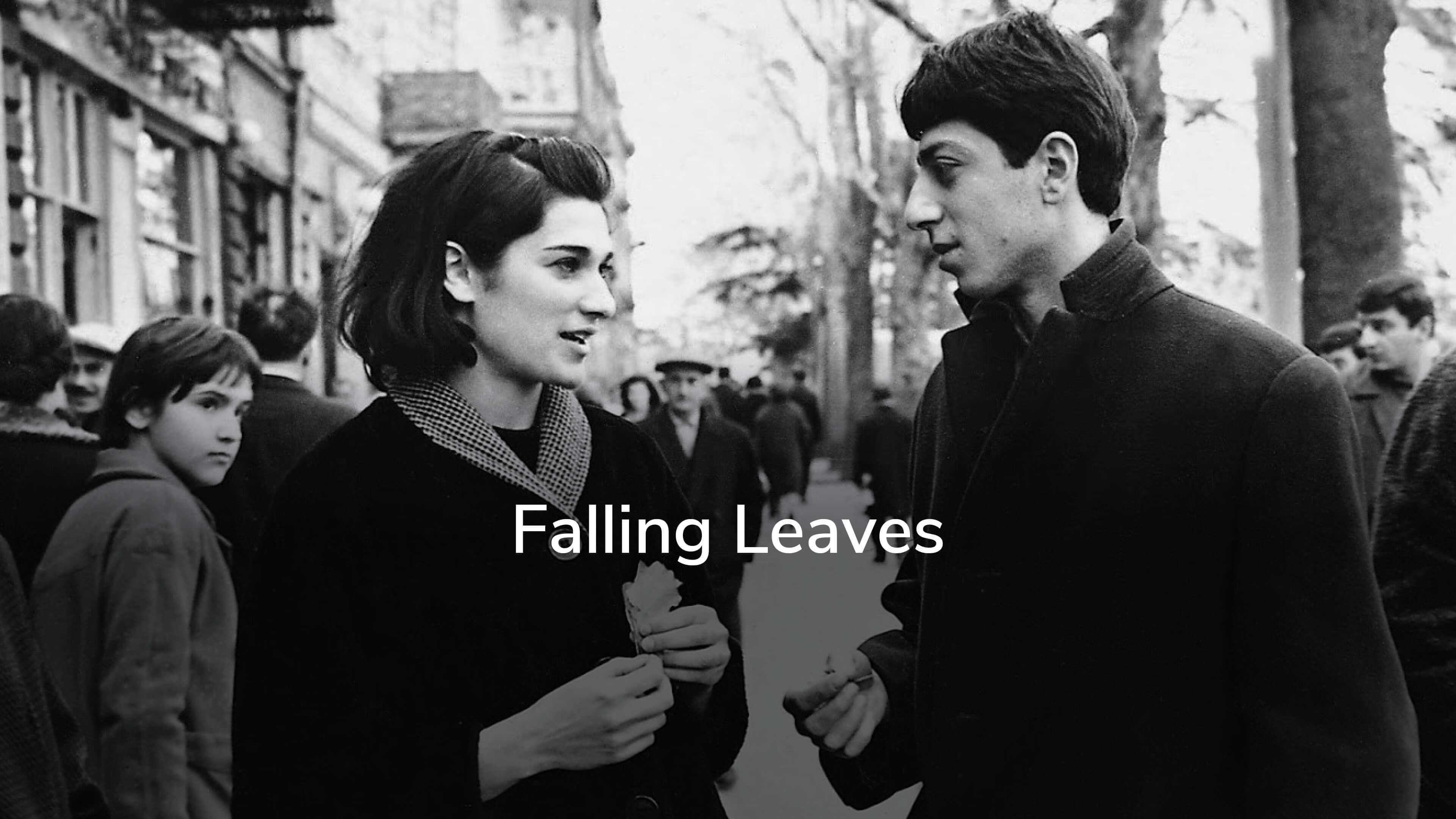 Falling Leaves