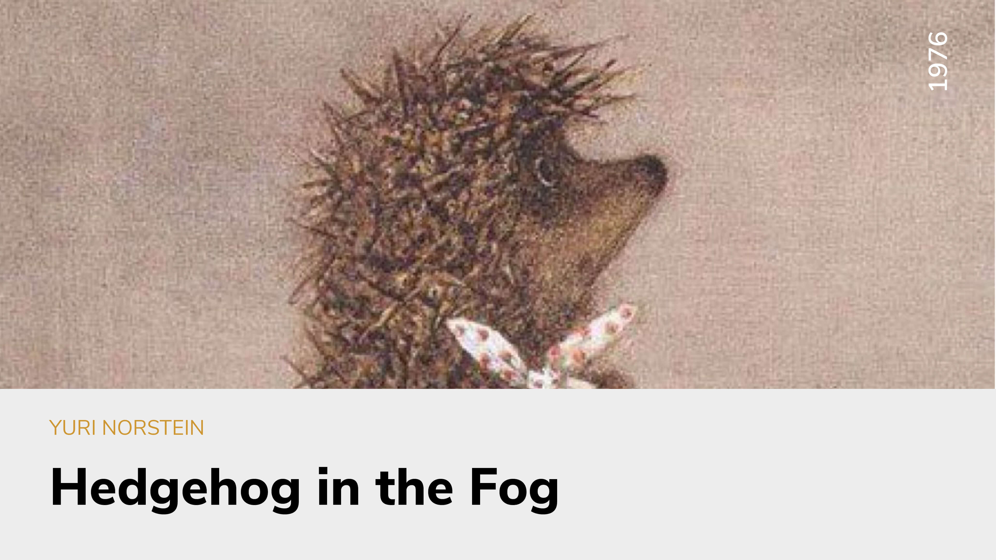 Hedgehog in the Fog