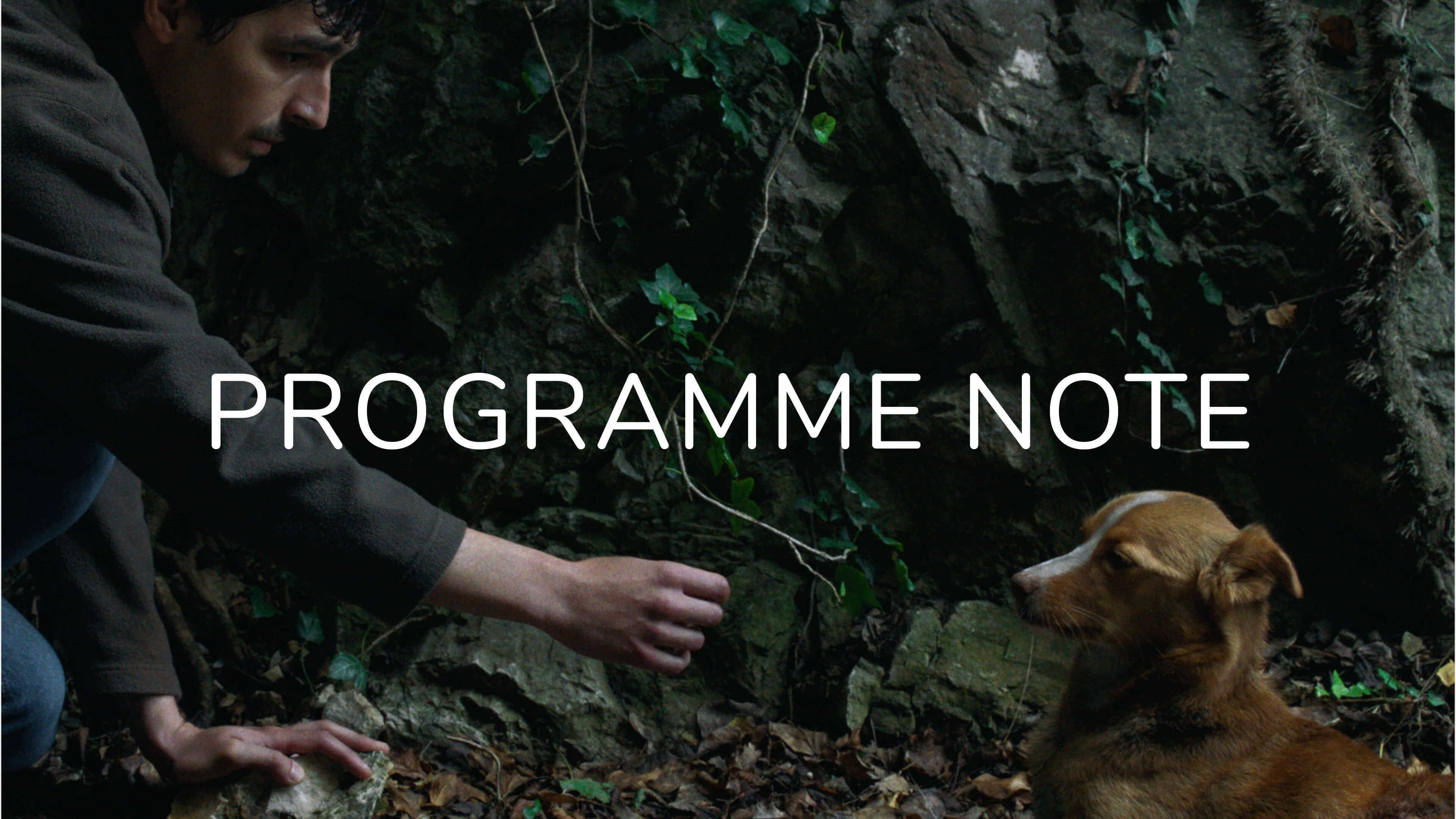 Notes on Wind, Talk to Me