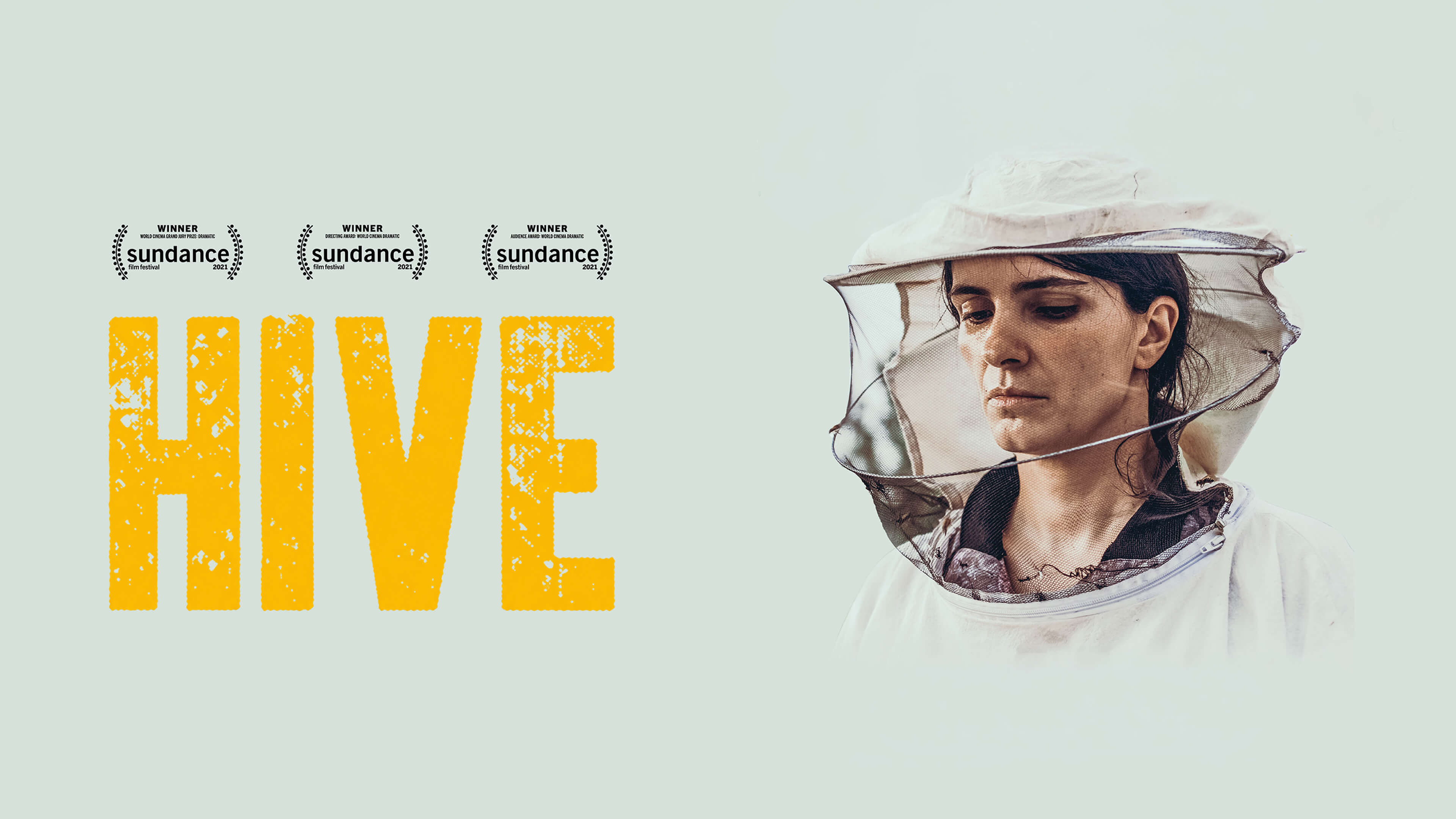 Hive