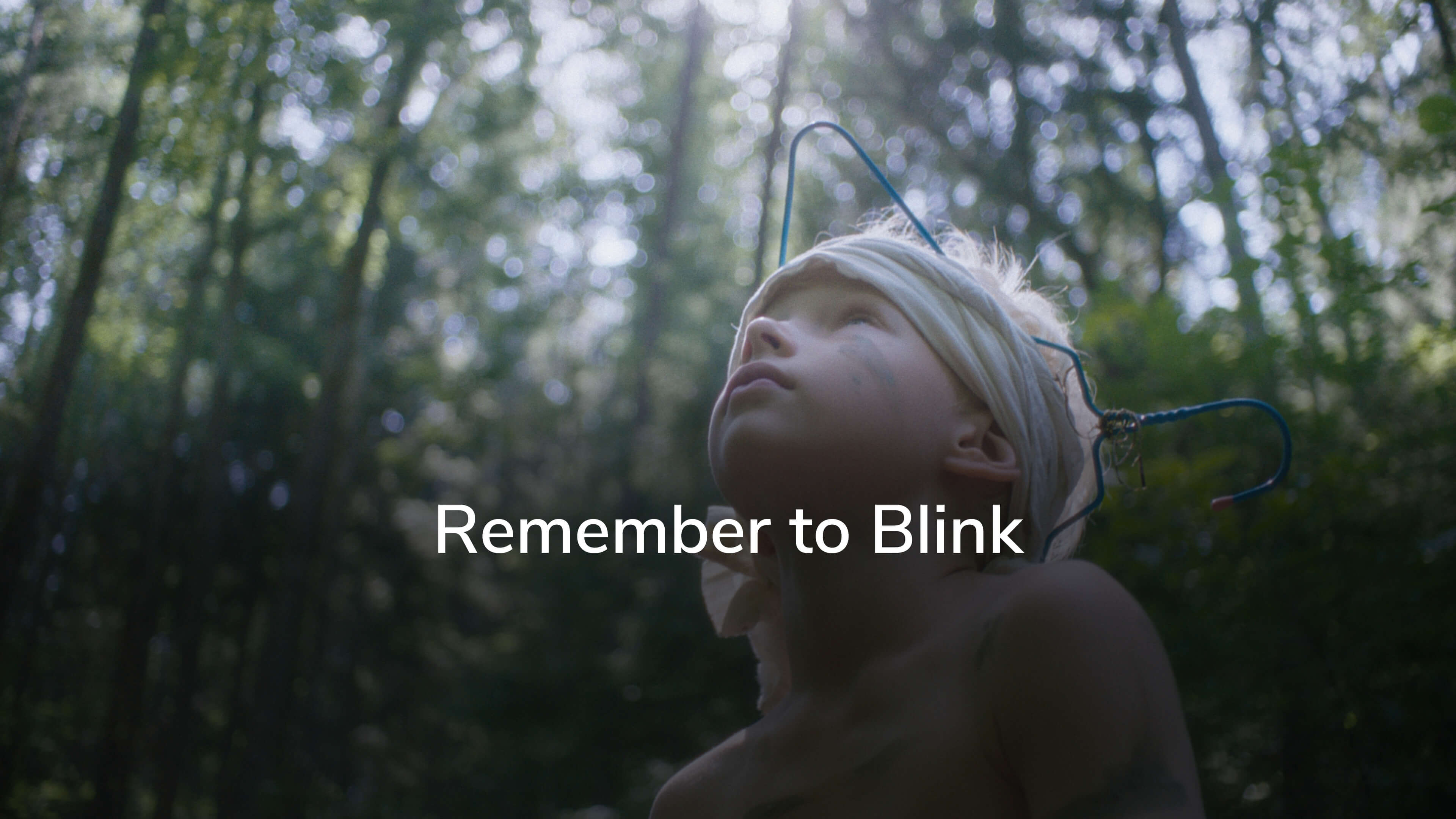 Remember to Blink