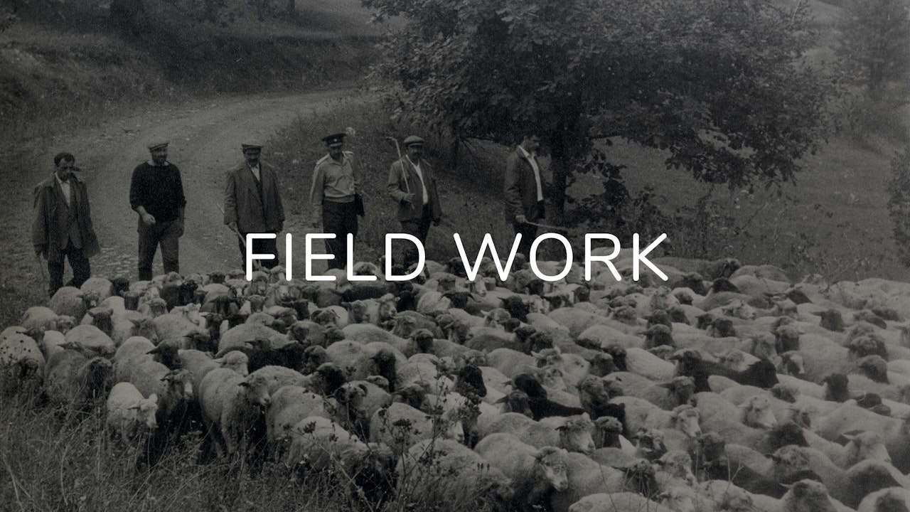 Field Work: films of the countryside