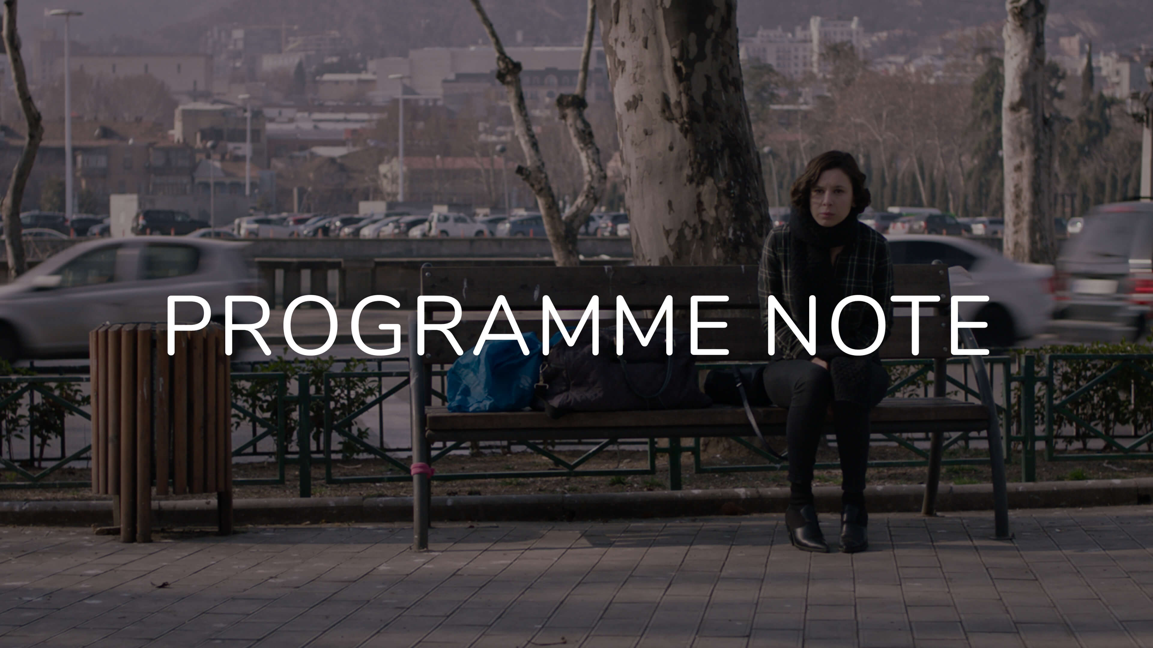 Notes on A Room of My Own