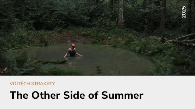 The Other Side of Summer