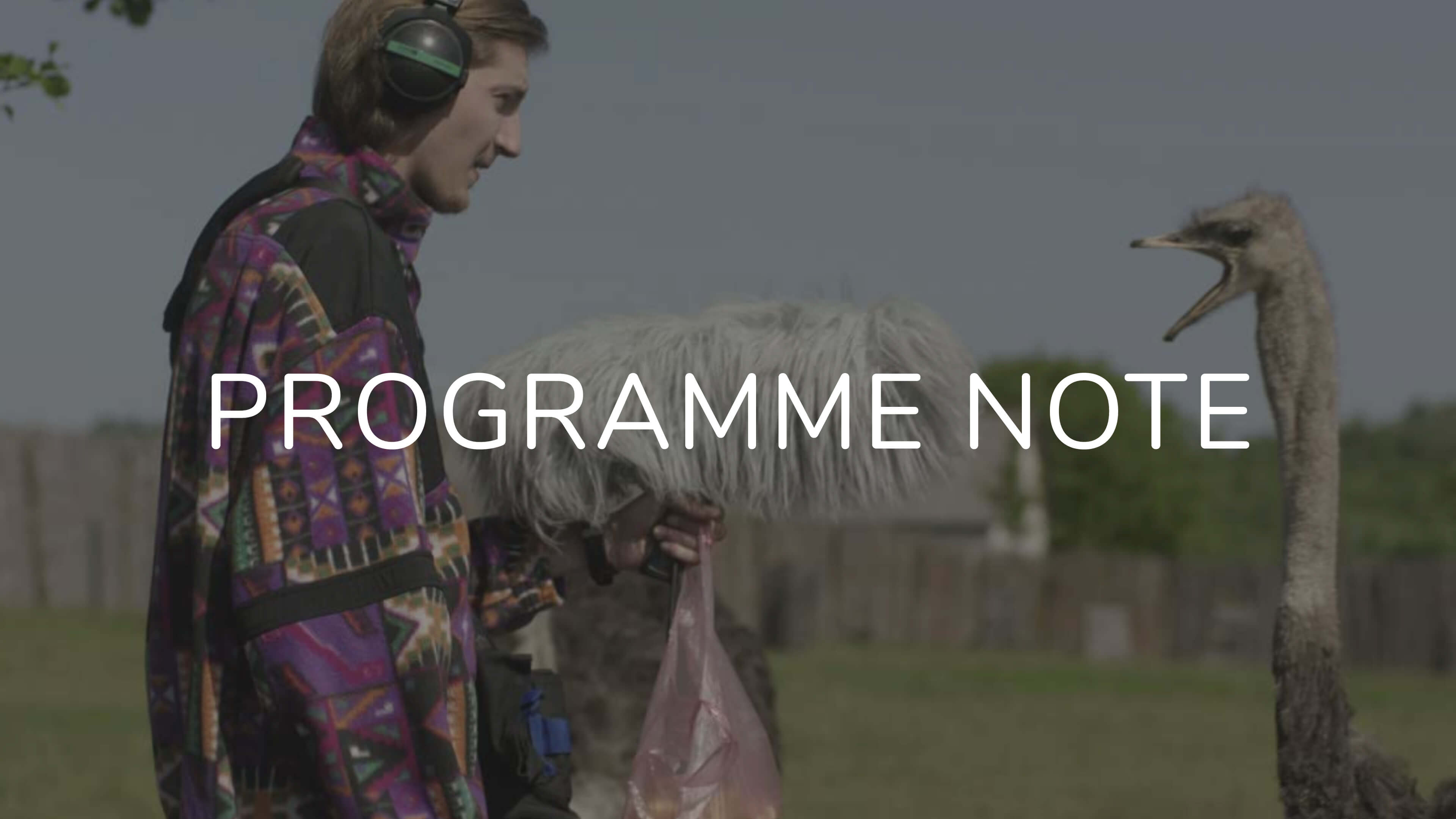 Cult Comedy: six films about the absurdity of modern life