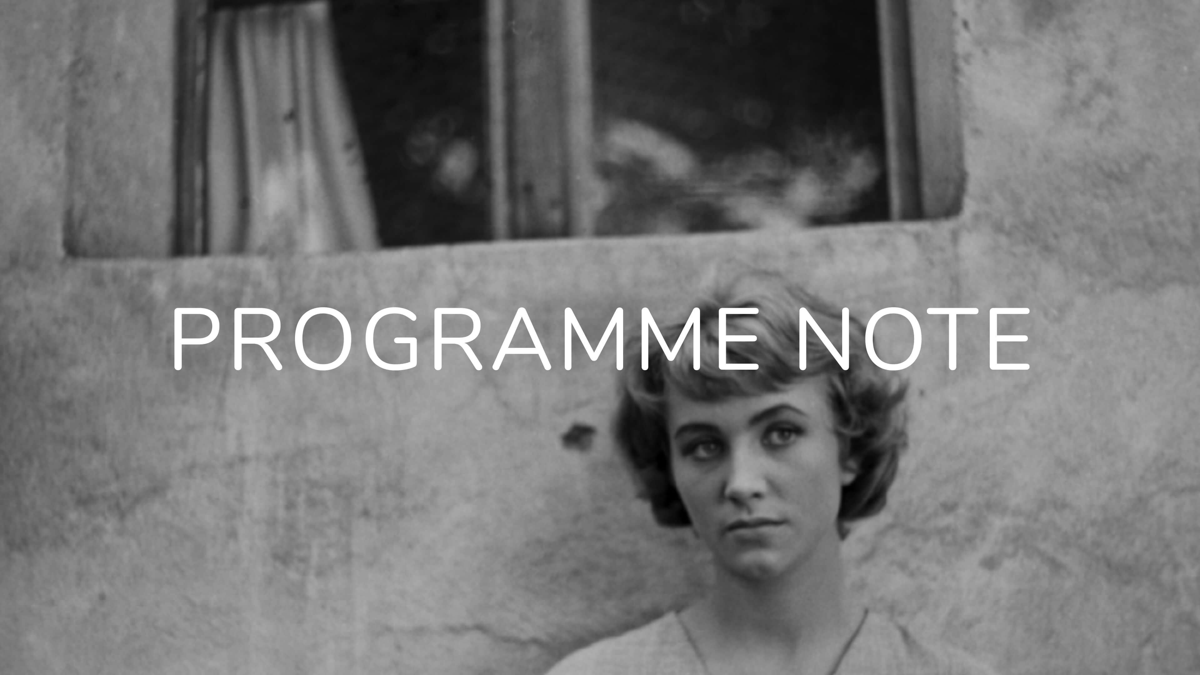 Notes on Nikt nie woła