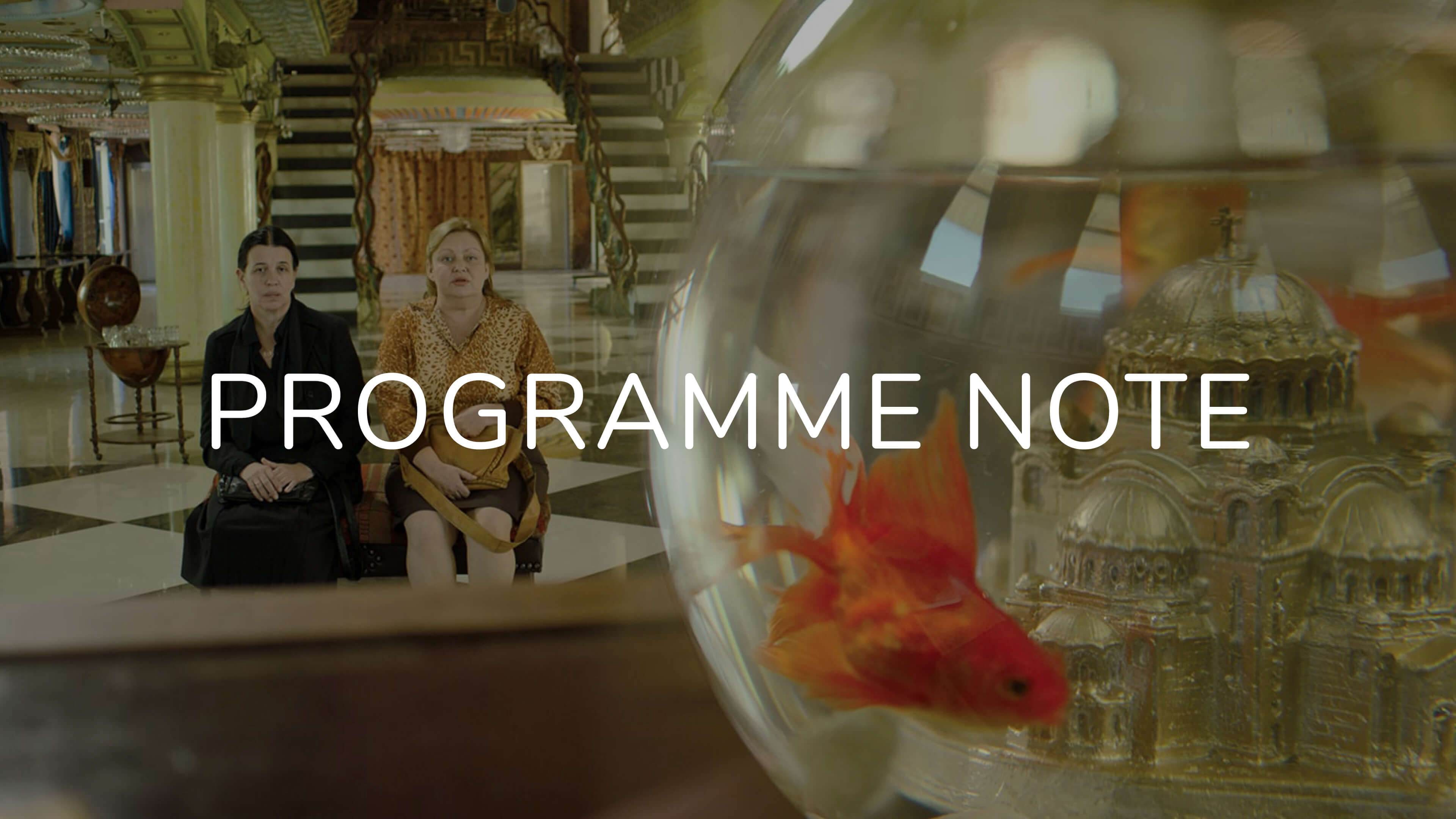 Notes on Heavens Above