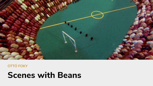 Scenes With Beans